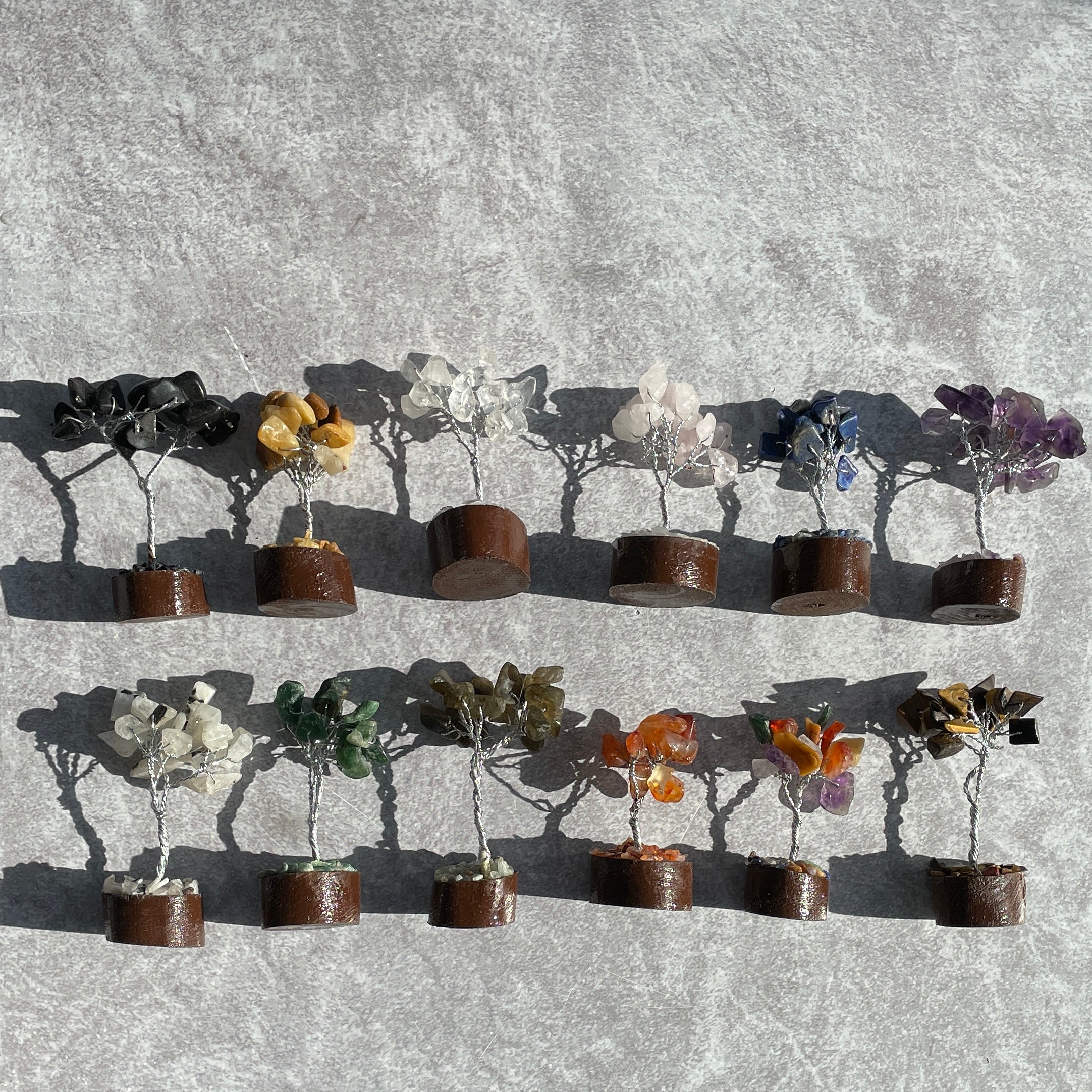 Mini Tree Box Set - 12pc
