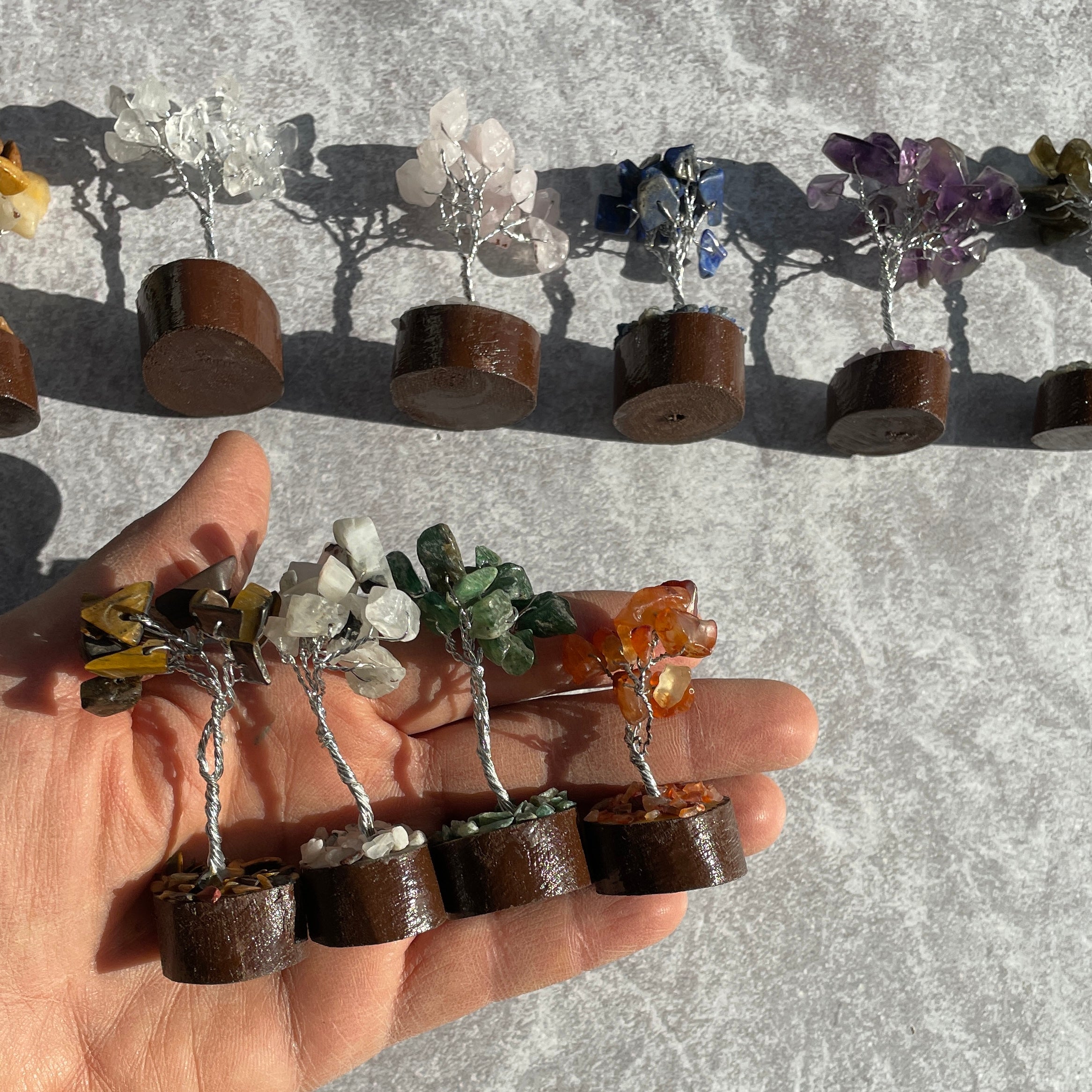 Mini Tree Box Set - 12pc