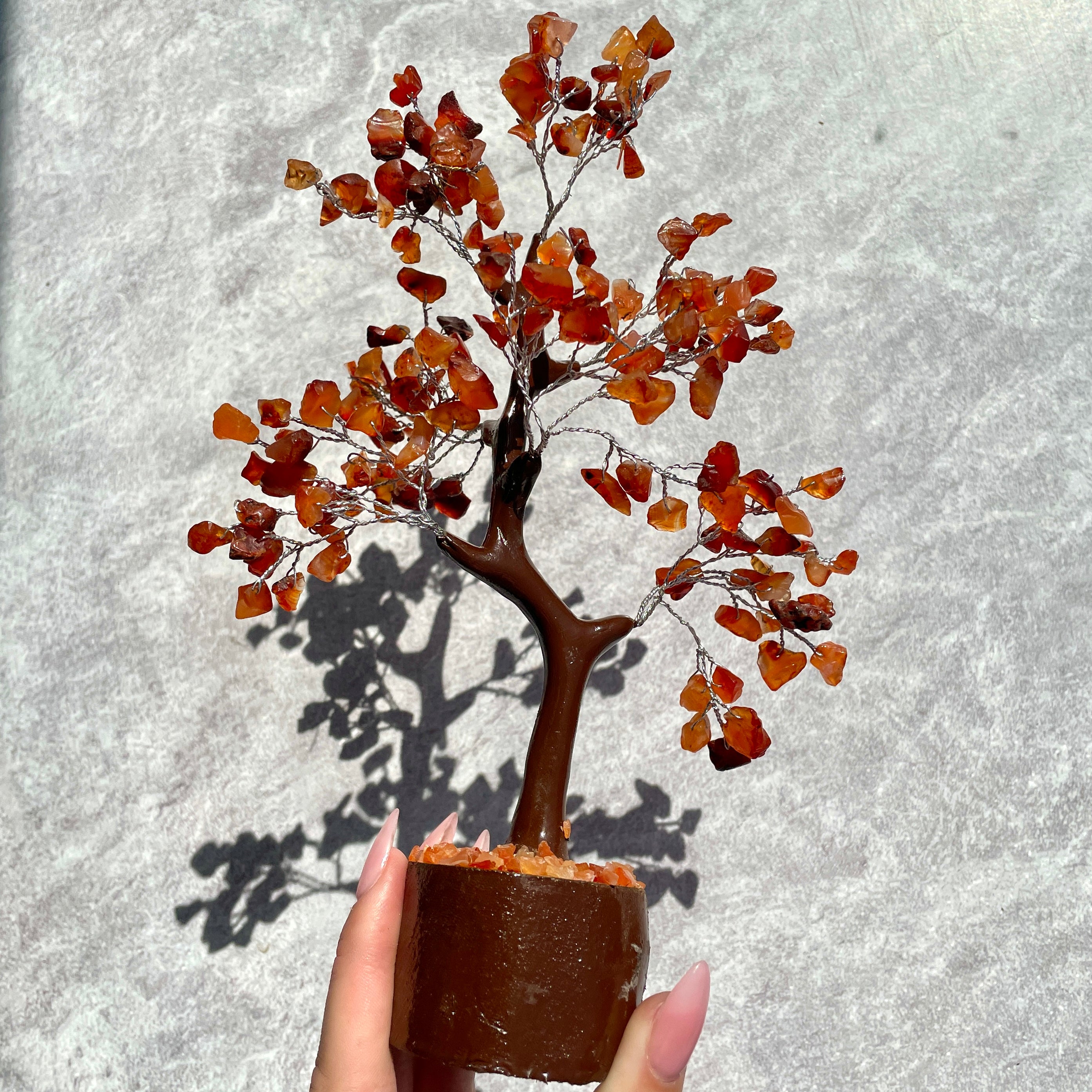 Carnelian Tree - Medium 014