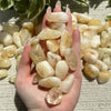 Citrine - Tumbled - 200gms (18-22pc) Citrine - Tumbled - 200gms (18-22pc)