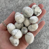 Howlite White Tumbled 200gms (12-15pc) Howlite White Tumbled 200gms (12-15pc)