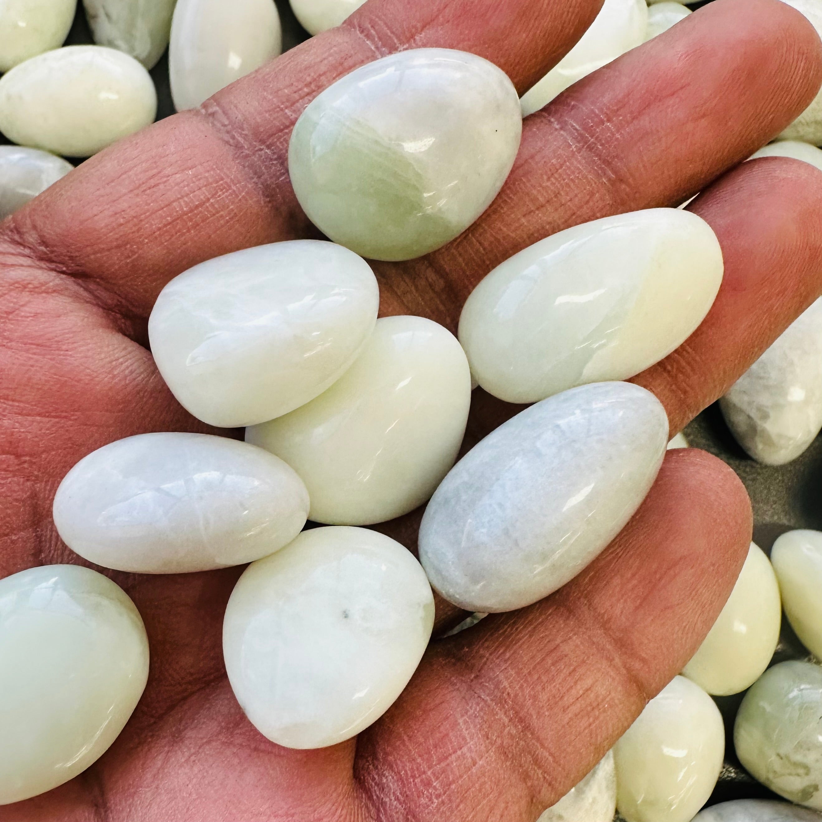 New Jade - Tumbled - 1 KG - (90-100pcs) CLEARANCE PACK