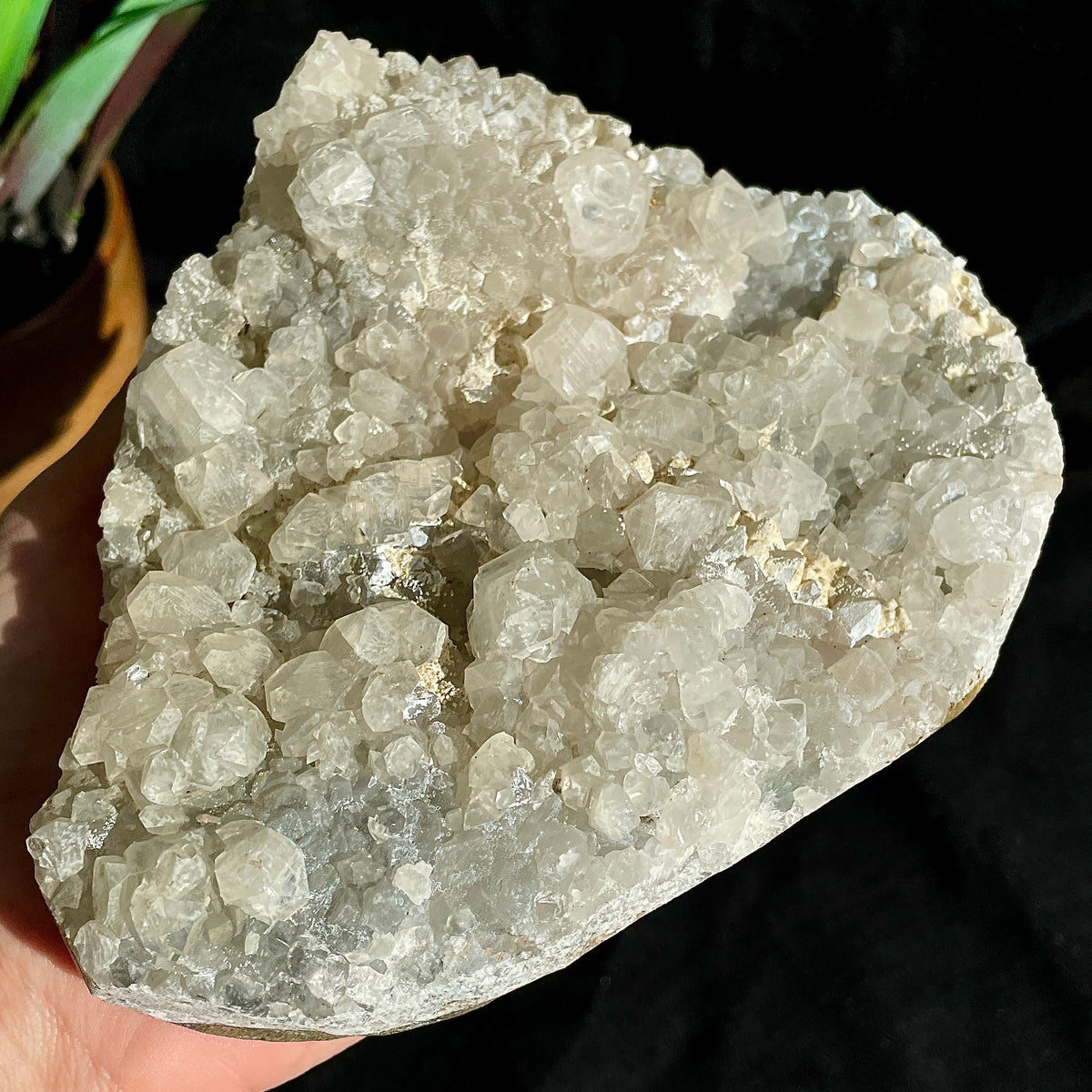 Apophyllite Cluster - 18