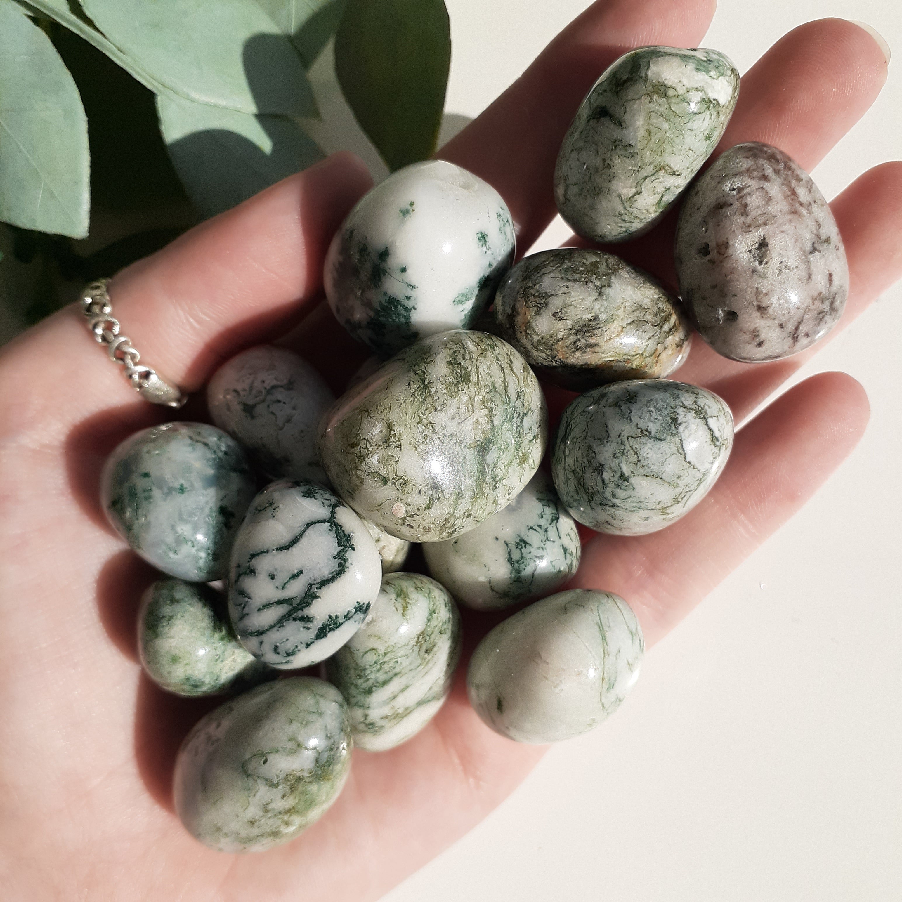 Tree Agate Tumbled - 200gms