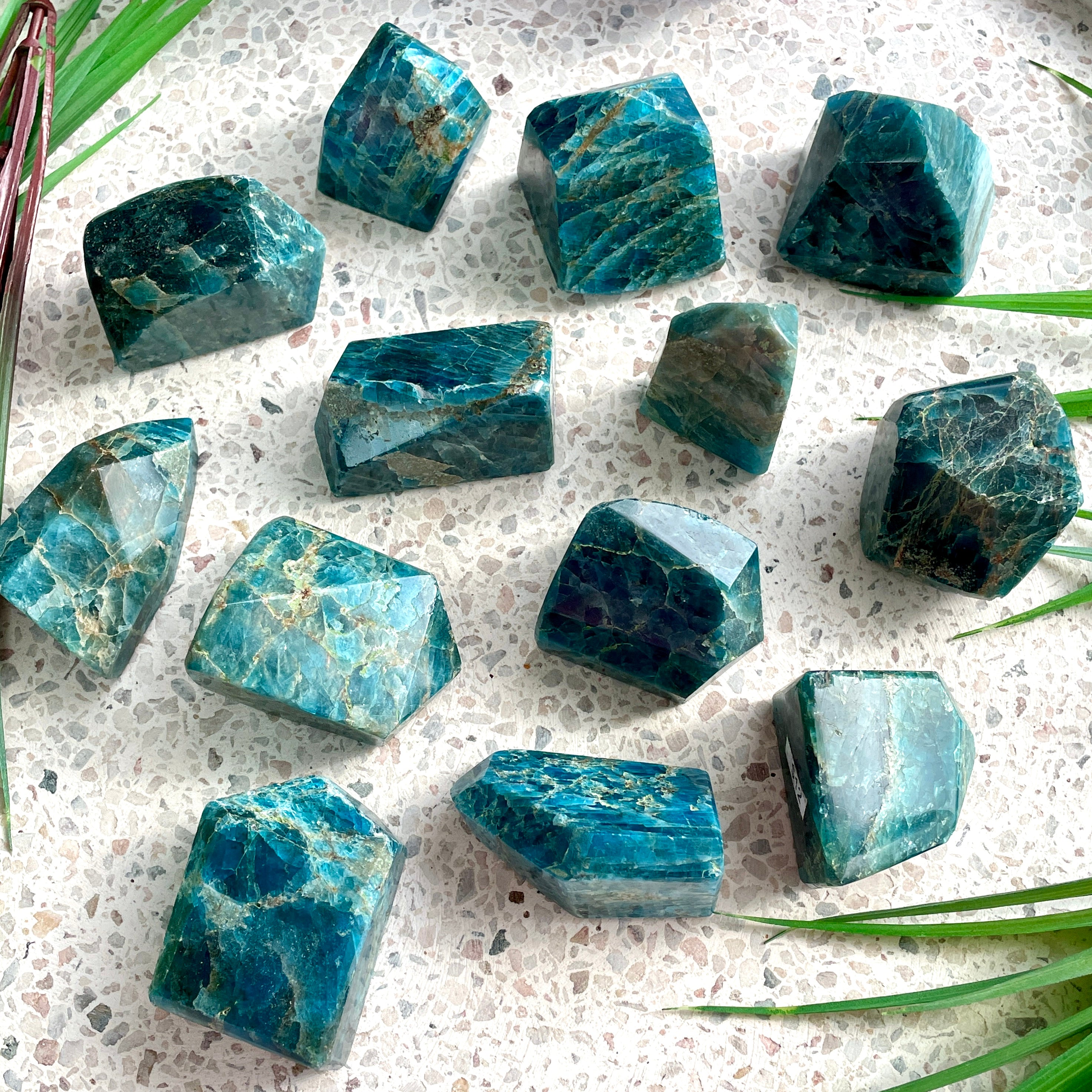 Apatite Generator Point - Freeform SML 1pc