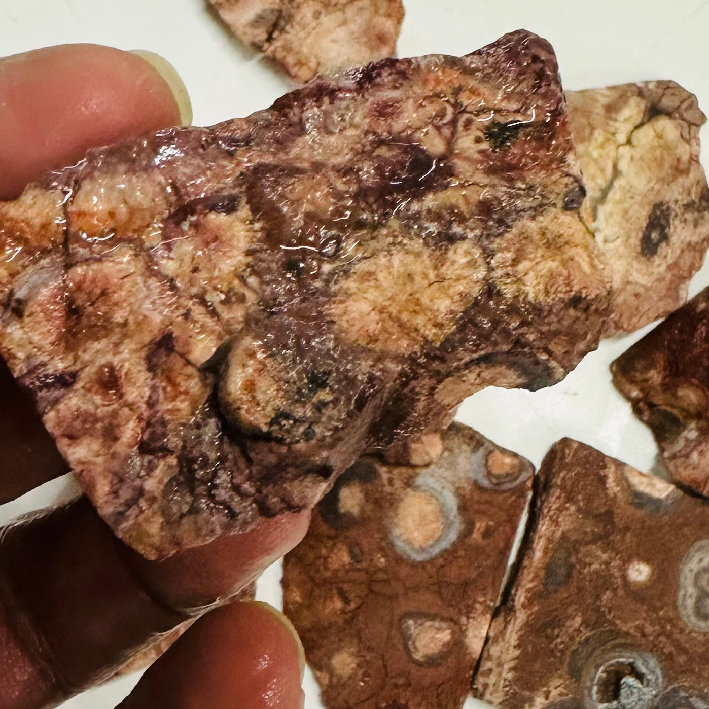 Rough Slab - Birds Eye Jasper - 1pc
