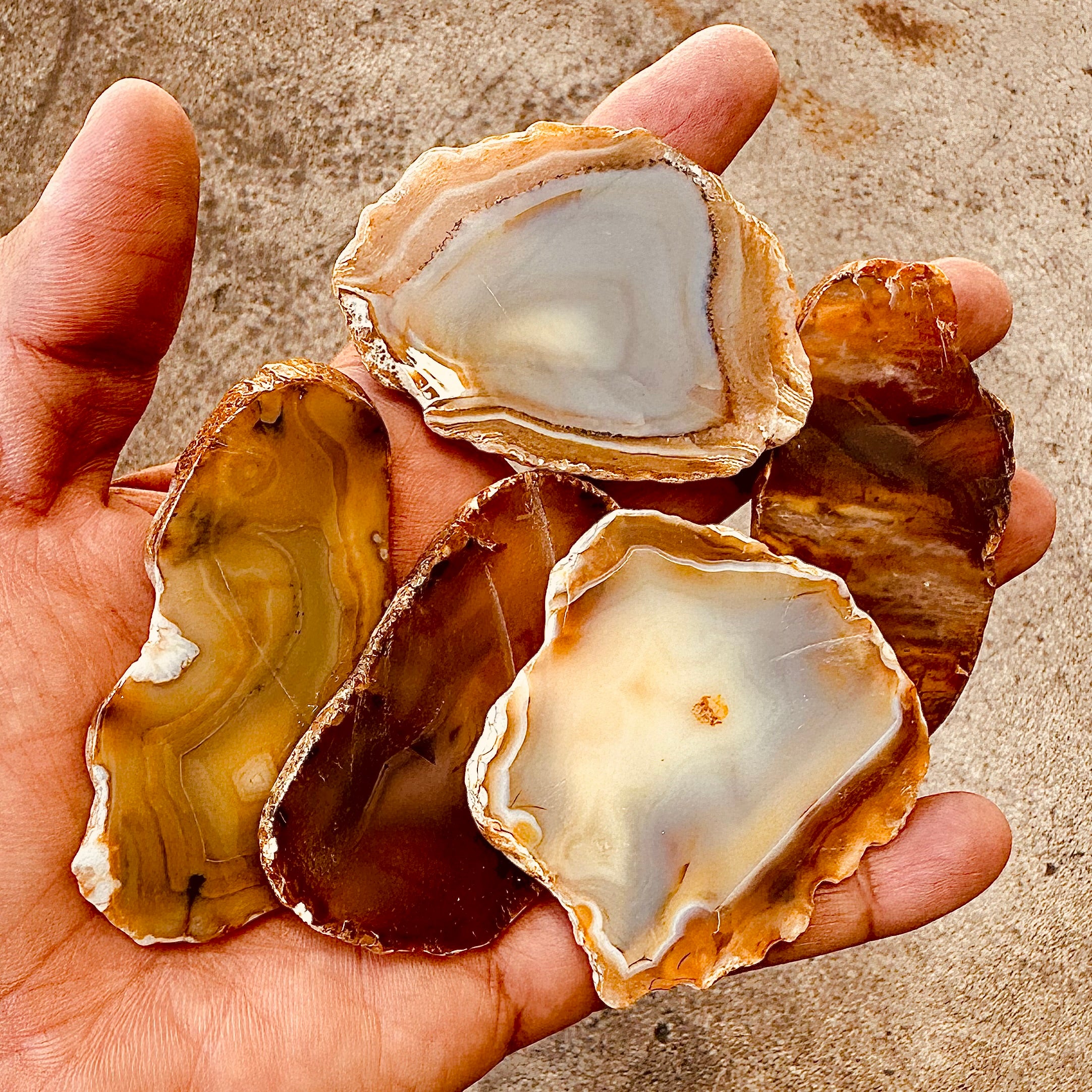 Agate Slice - Beige - 1pc