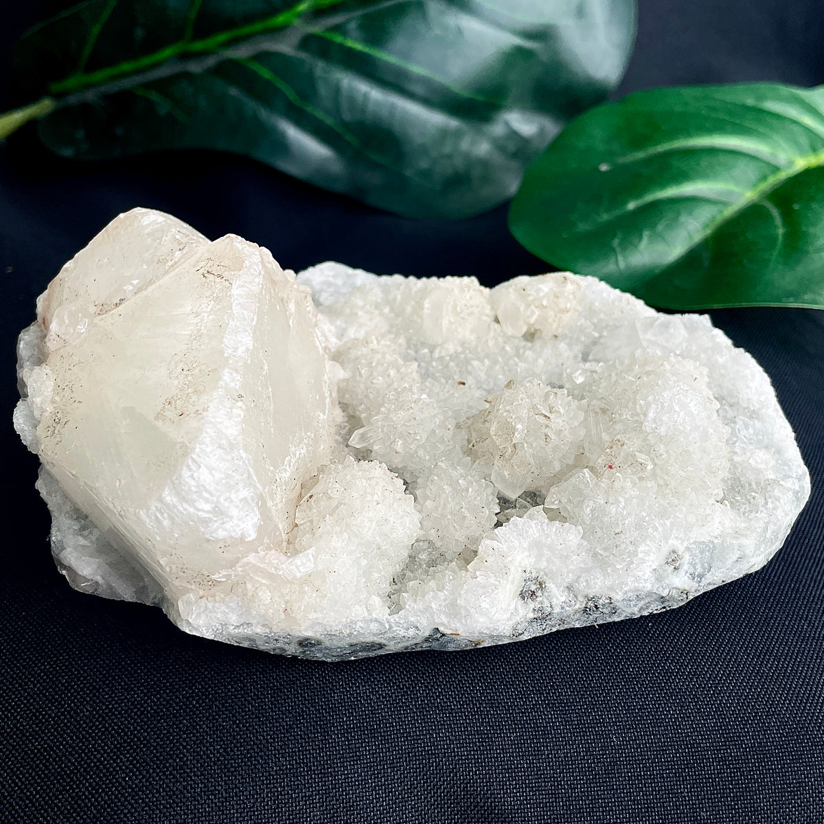 Apophyllite Cluster - 19