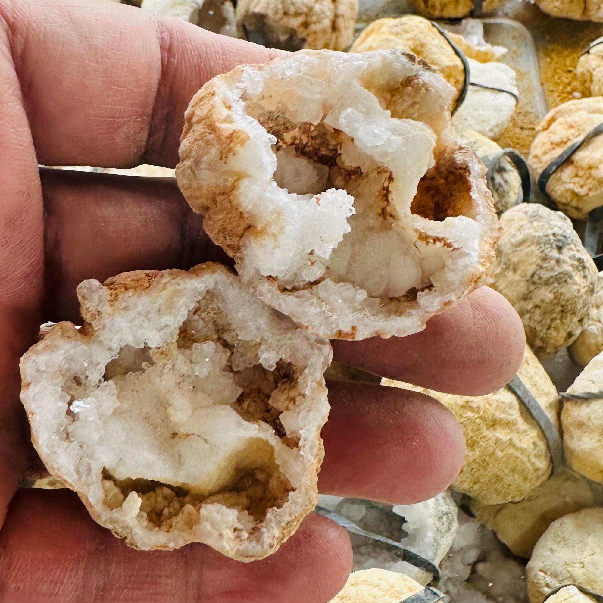 Quartz Thunder Egg Geode - SM