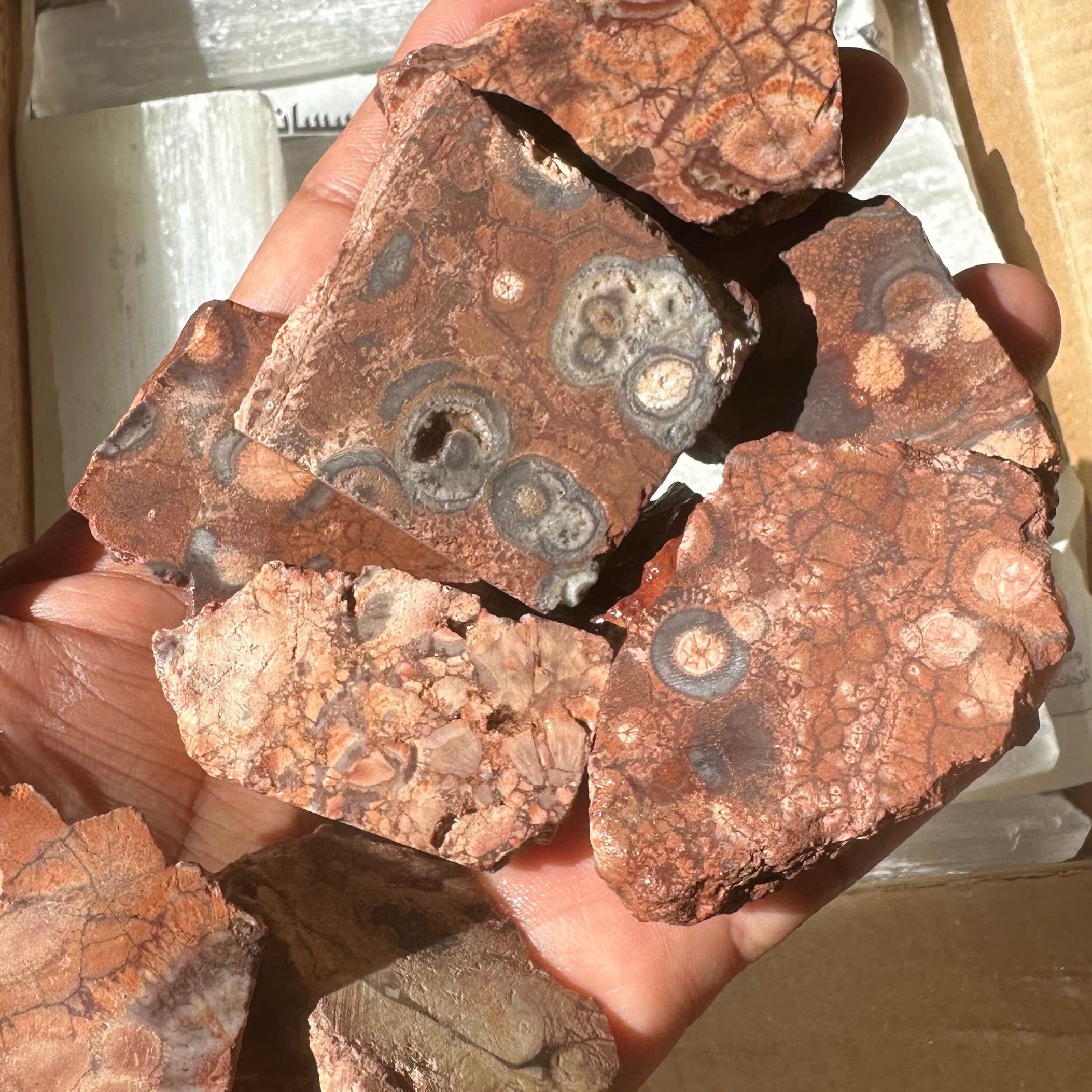 Rough Slab - Birds Eye Jasper - 1pc