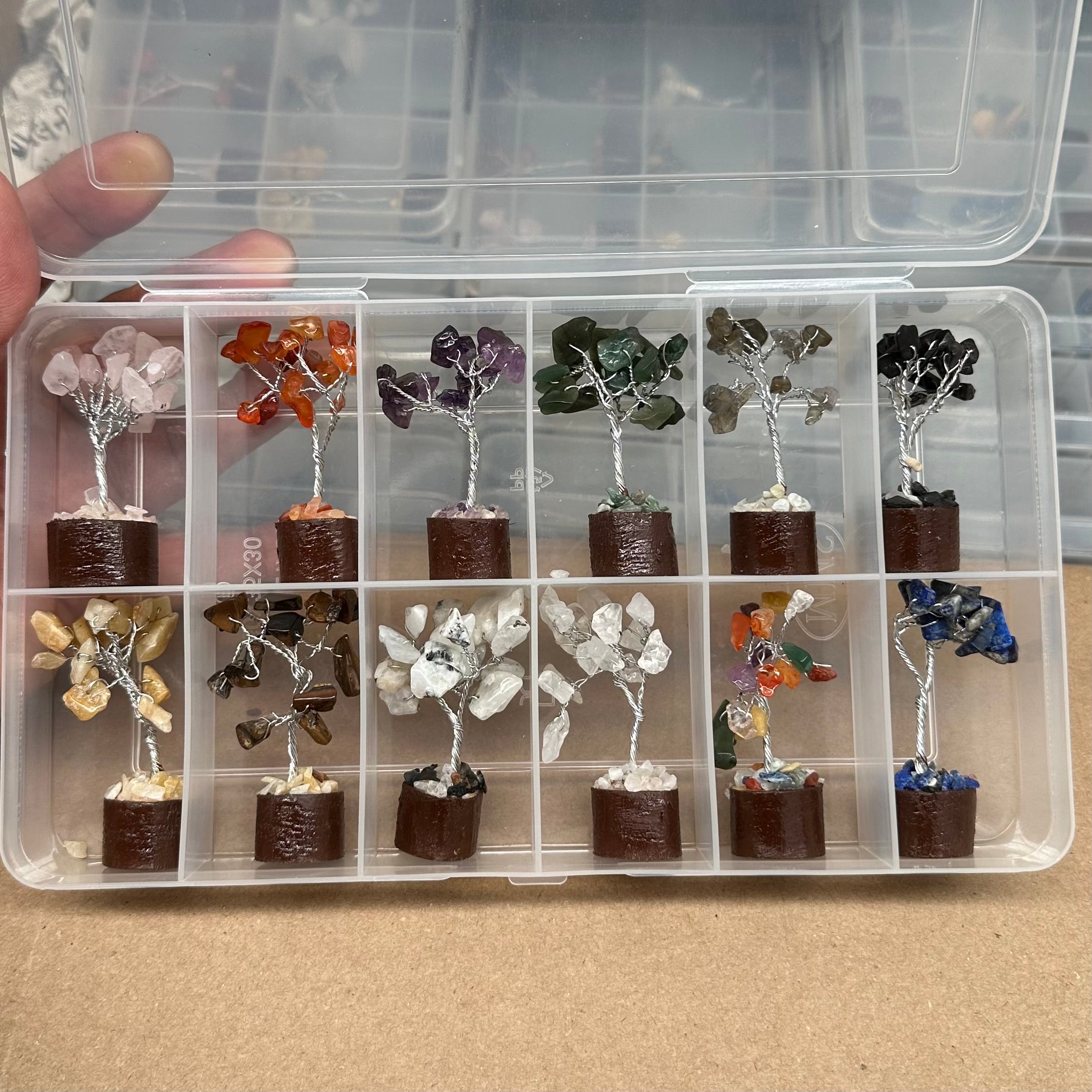Mini Tree Box Set - 12pc