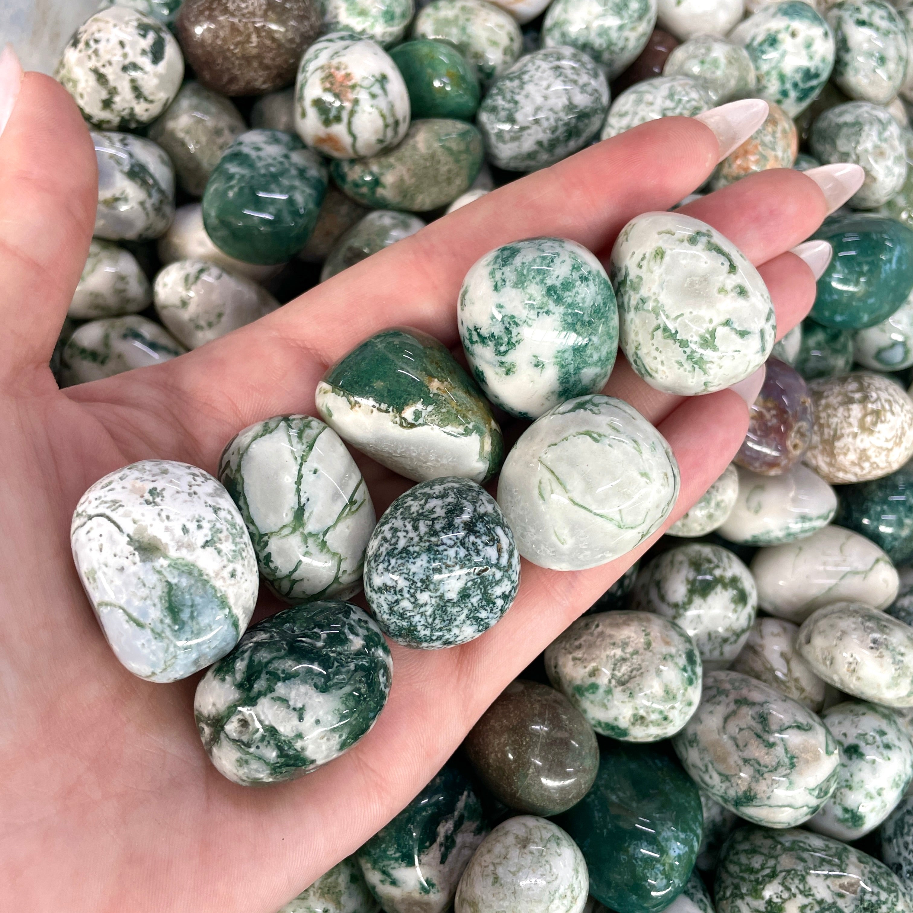 Tree Agate Tumbled 200gms (13-16 pc)