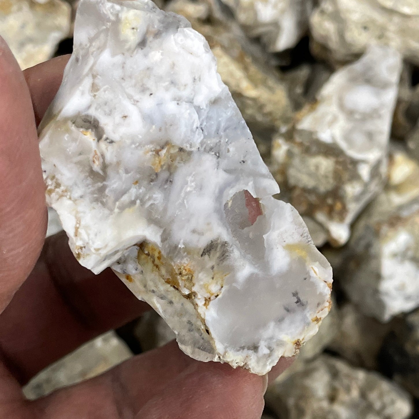Crazy Lace Agate - Wholesale Rough Crystals Supplier Sydney