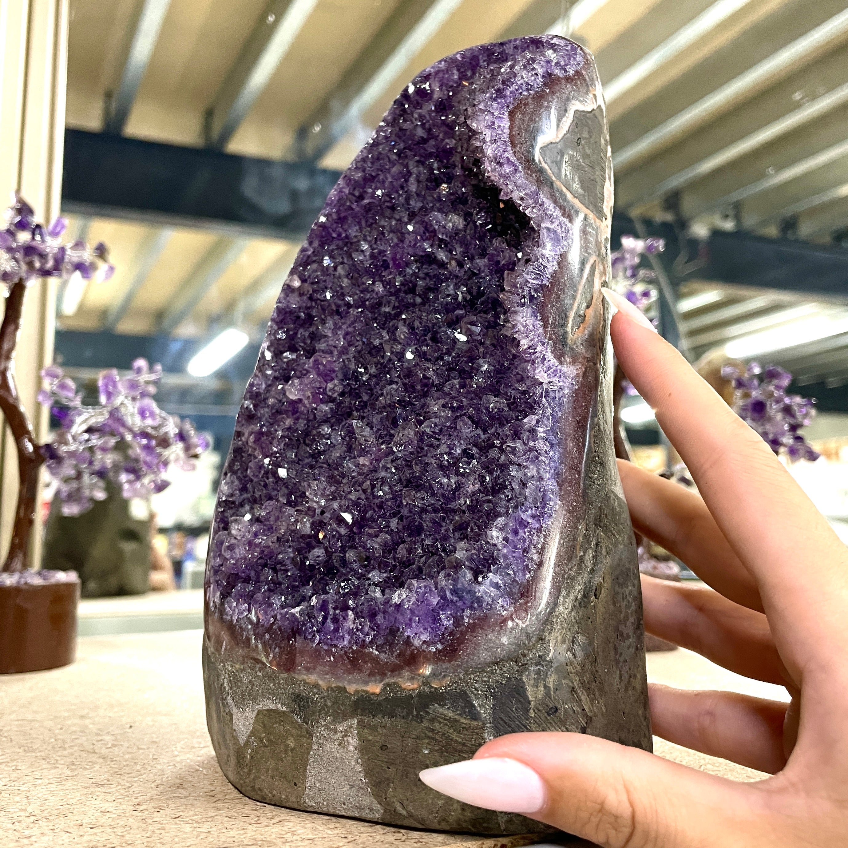 Amethyst - Cut Base Cluster - 84