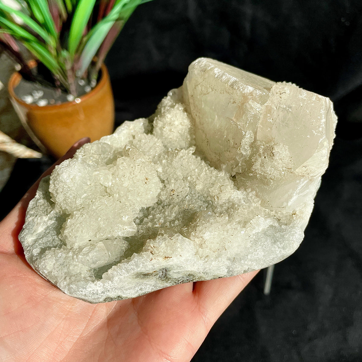 Apophyllite Cluster - 19