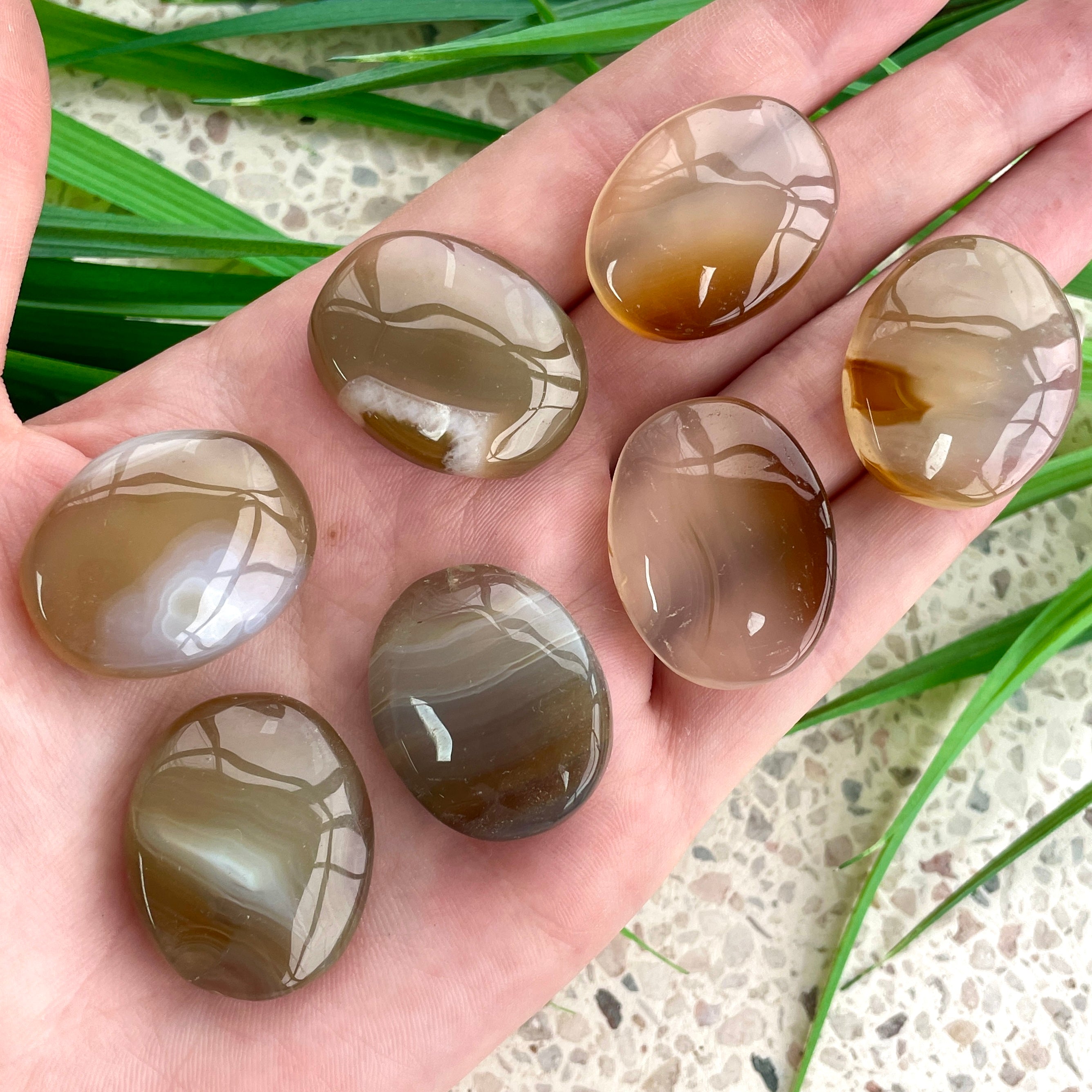 Agate Palm Stone (IN)