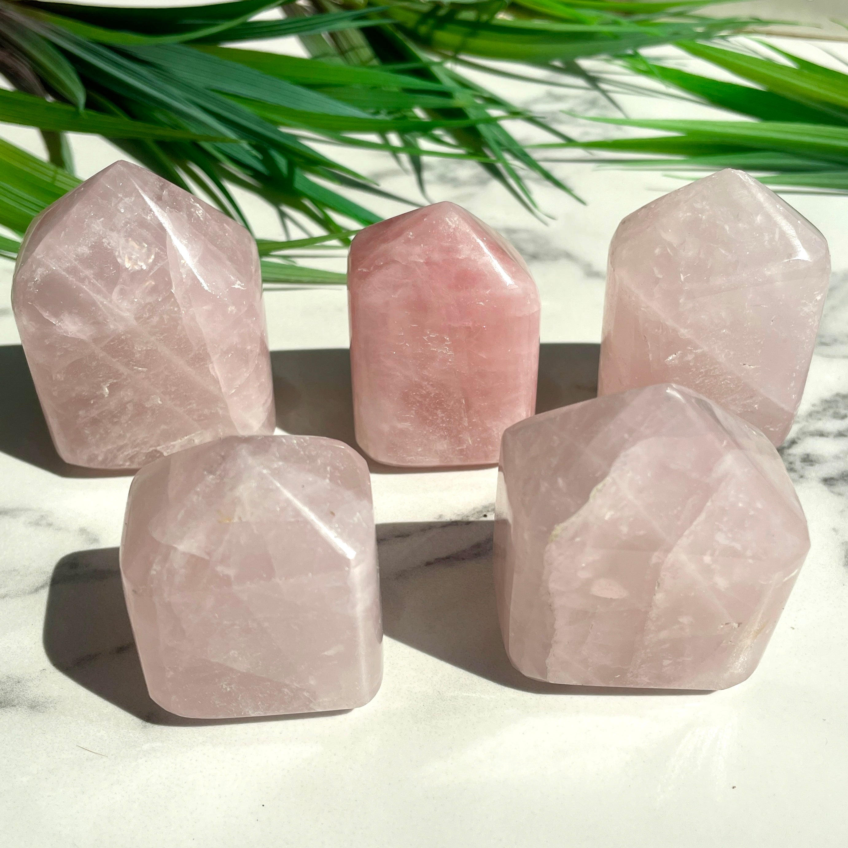 Rose Quartz Freeform MED - 1pc