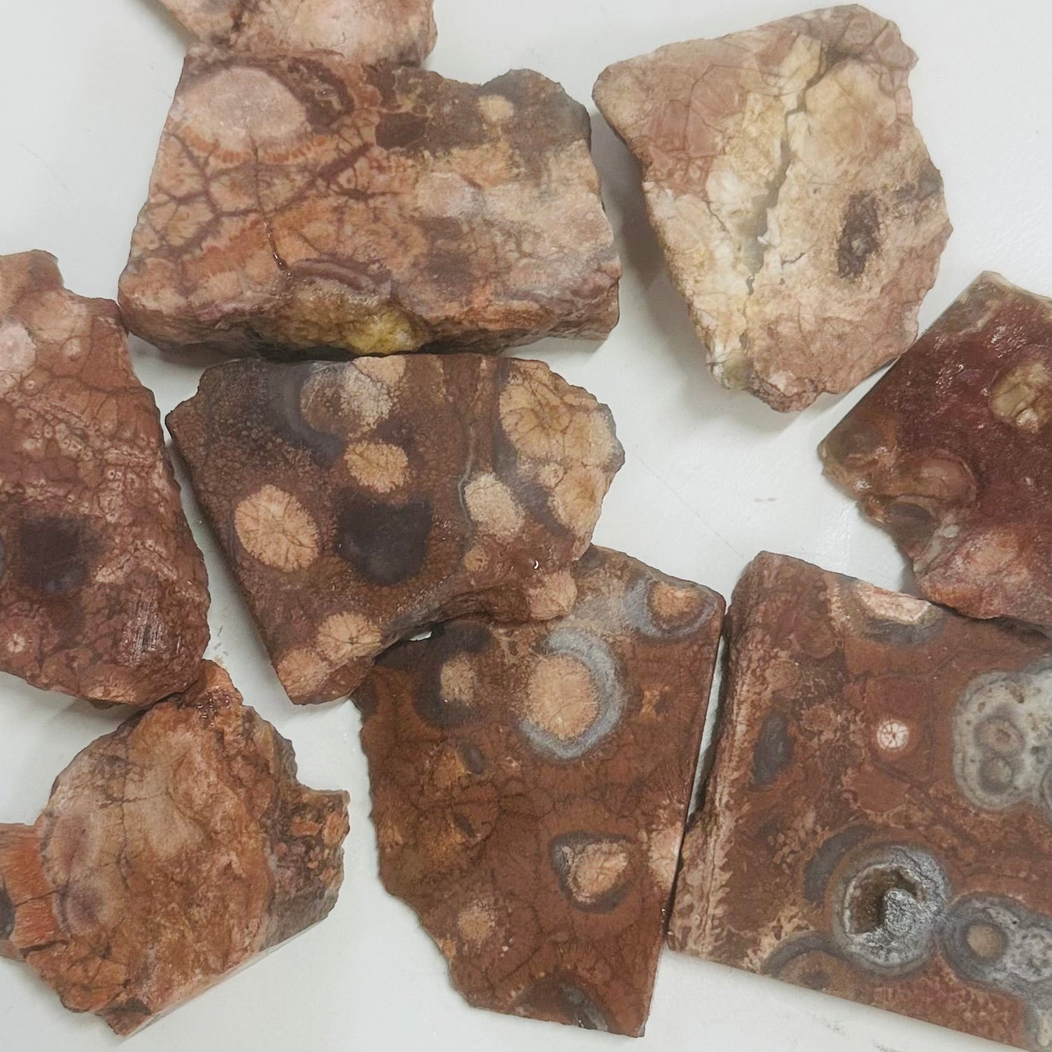 Rough Slab - Birds Eye Jasper - 1pc
