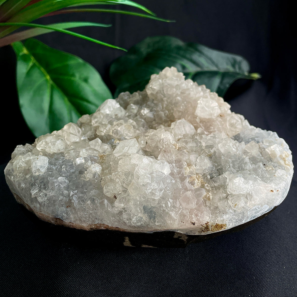 Apophyllite Cluster - 18
