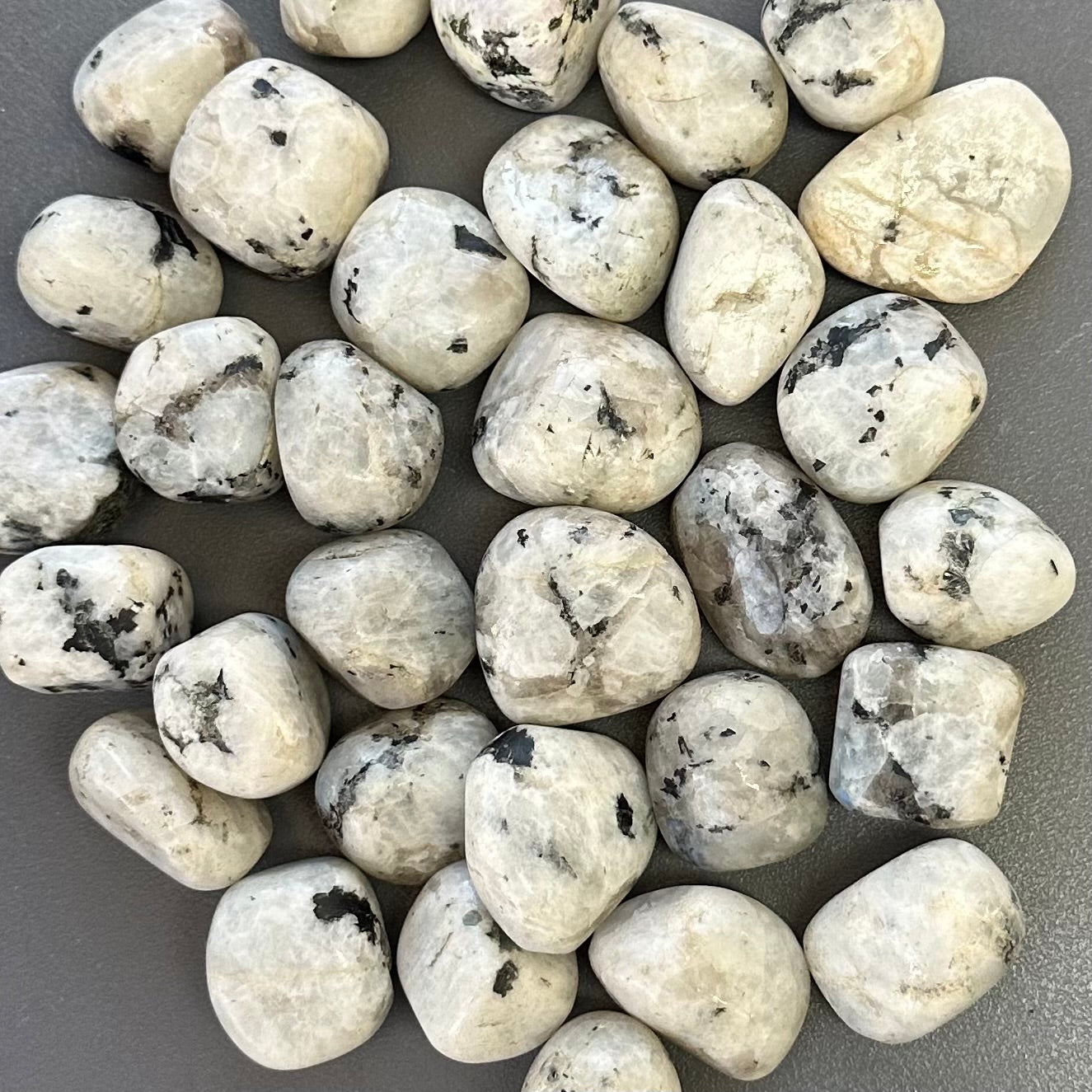 Rainbow Moonstone Tumbled - Large - 1KG (30-35pc)
