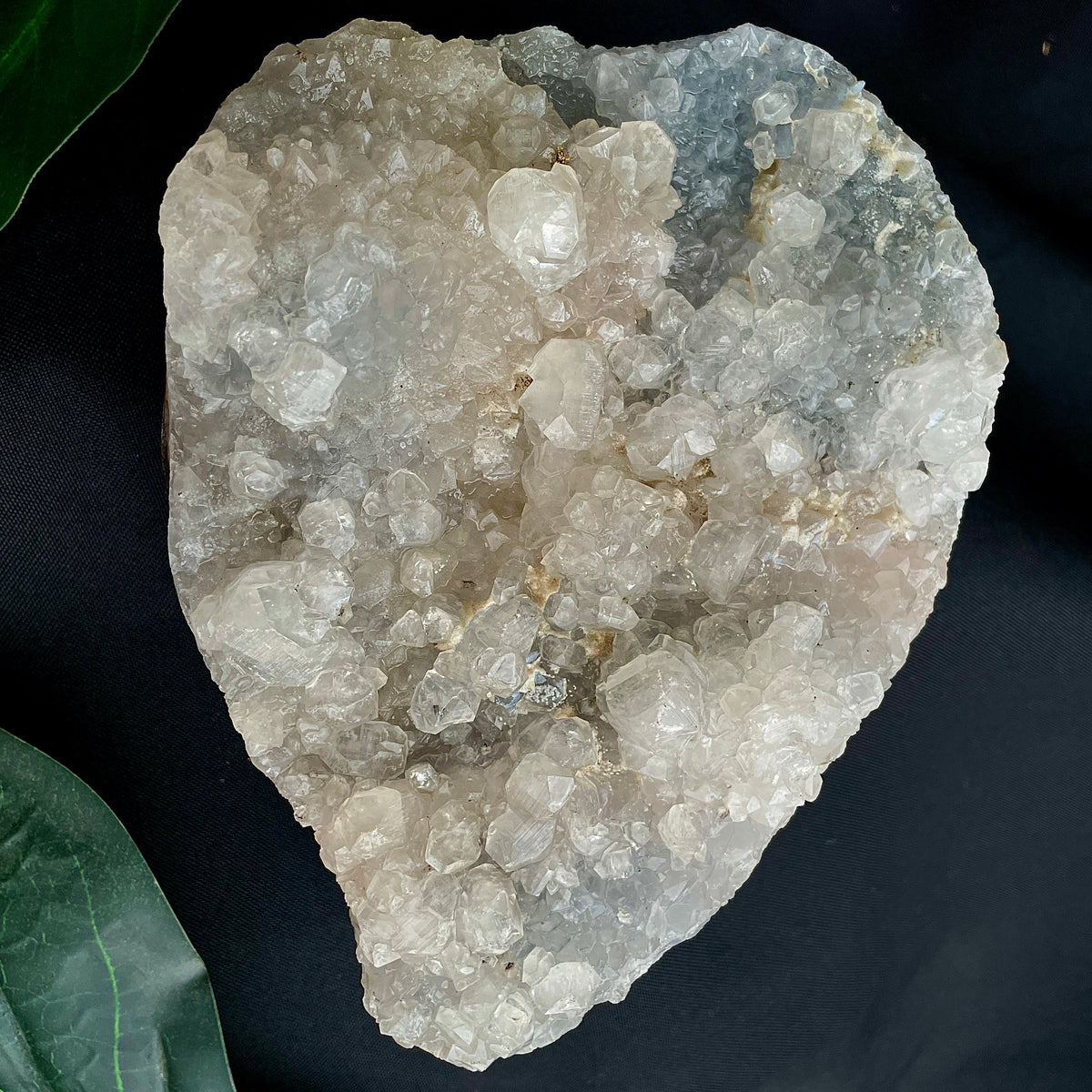 Apophyllite Cluster - 18