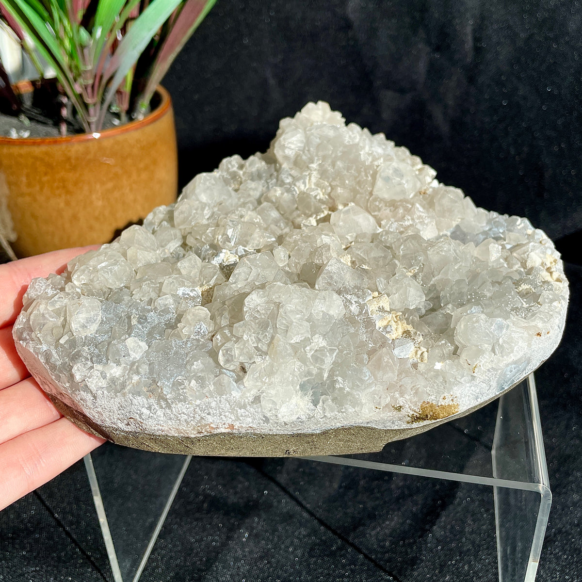Apophyllite Cluster - 18