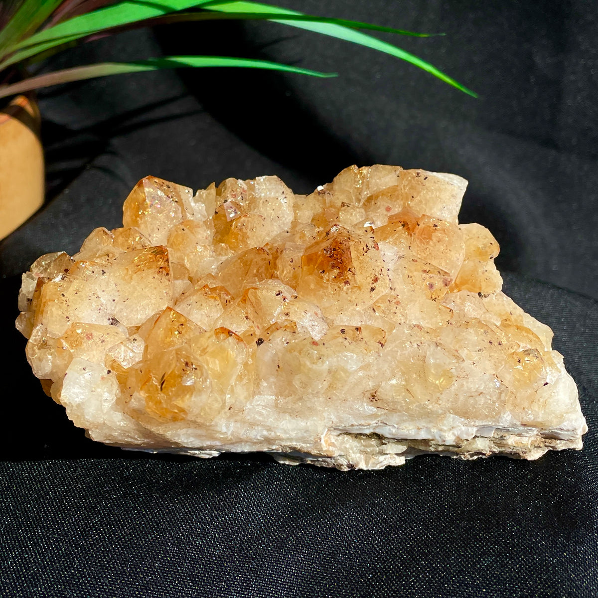 Citrine Cluster - 09 (13cm)