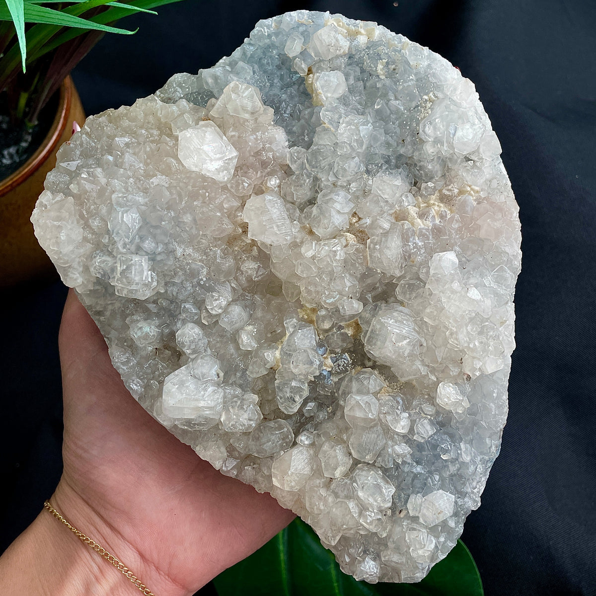 Apophyllite Cluster - 18