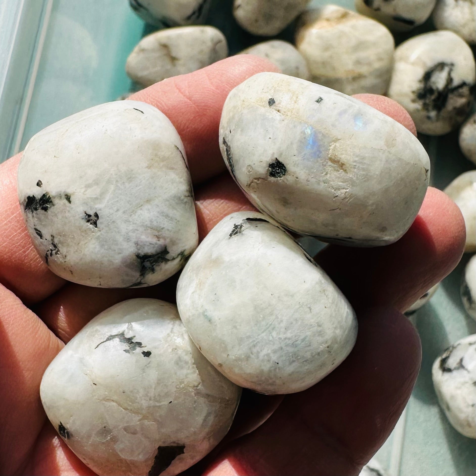 Rainbow Moonstone Tumbled - Large - 1KG (30-35pc)