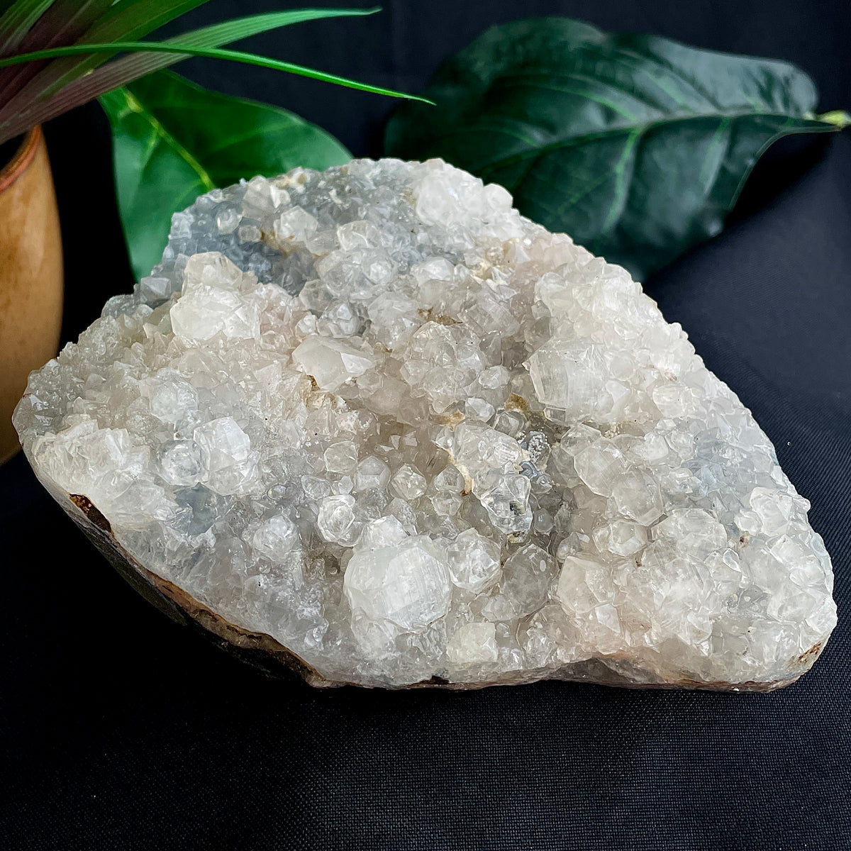 Apophyllite Cluster - 18