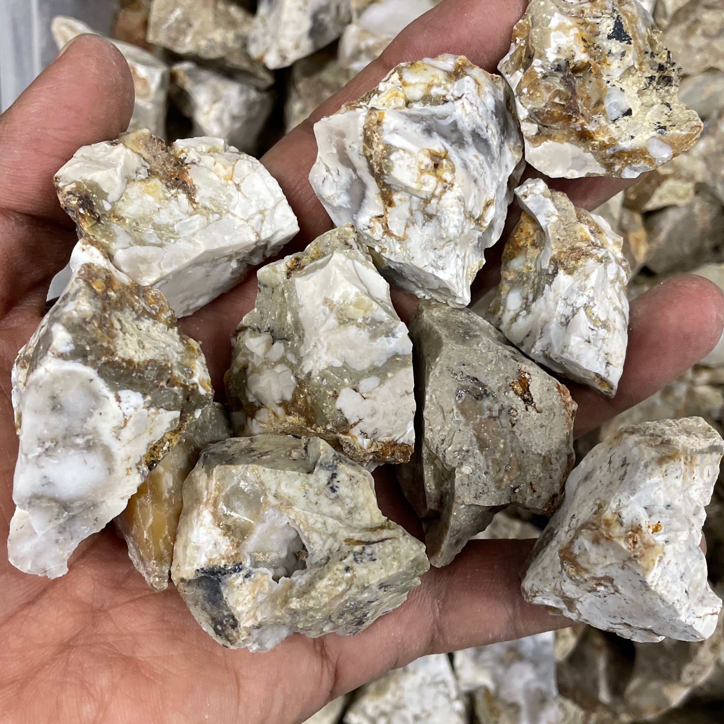 Crazy Lace Agate - Wholesale Rough Crystals Supplier Sydney