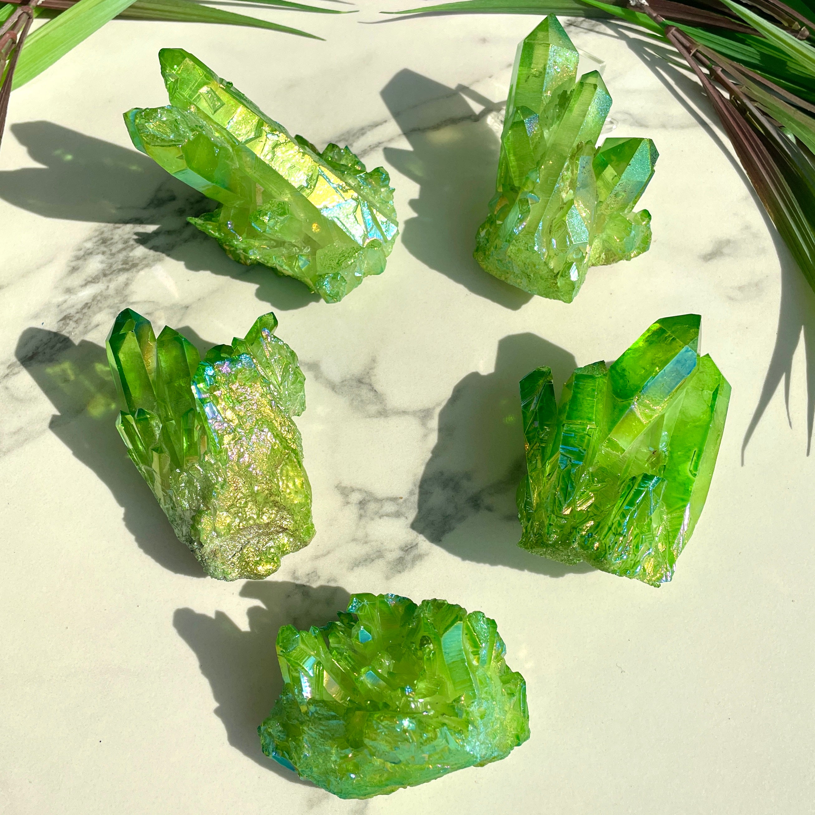 Apple Aura Cluster - 1pc