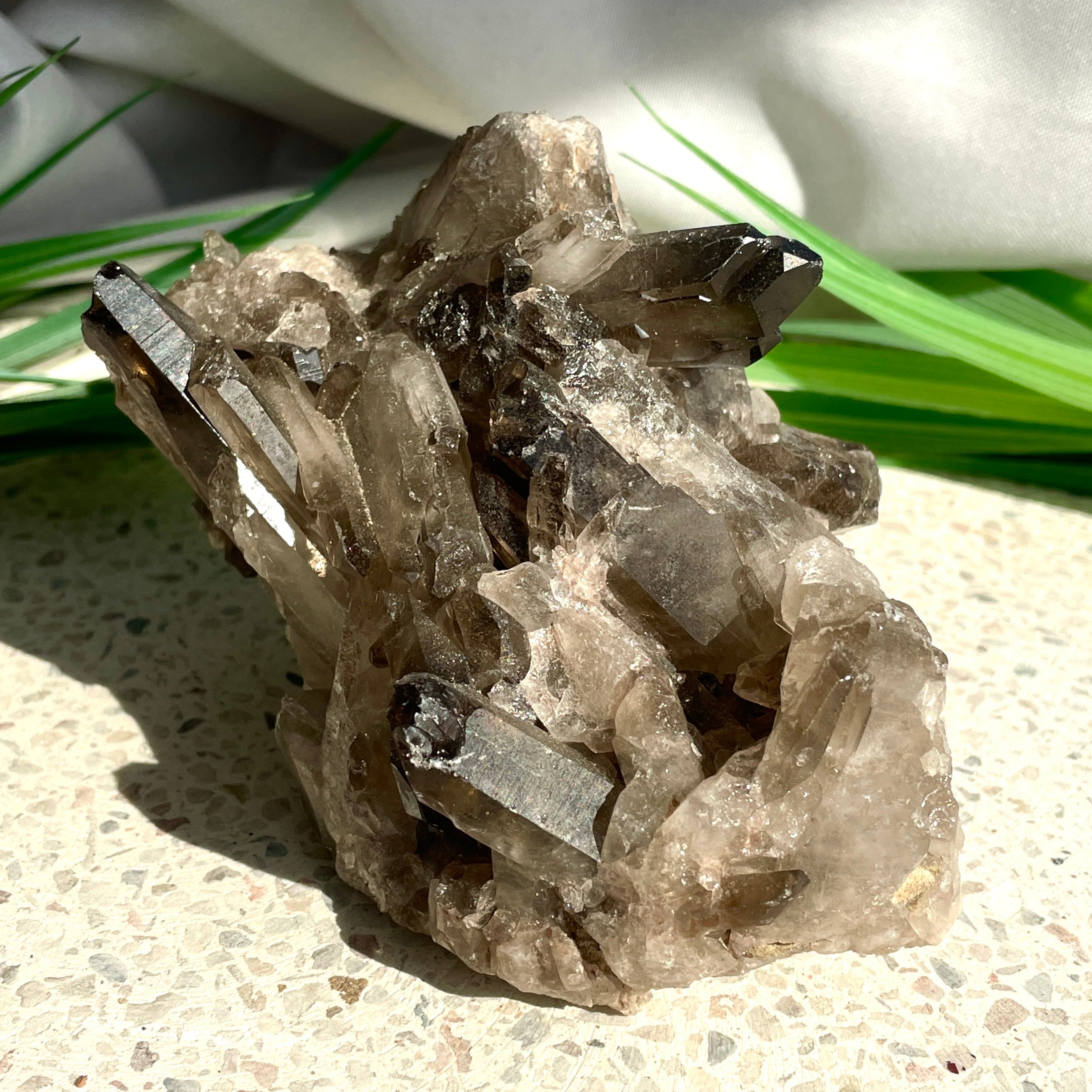 Smokey Quartz Cluster - 37