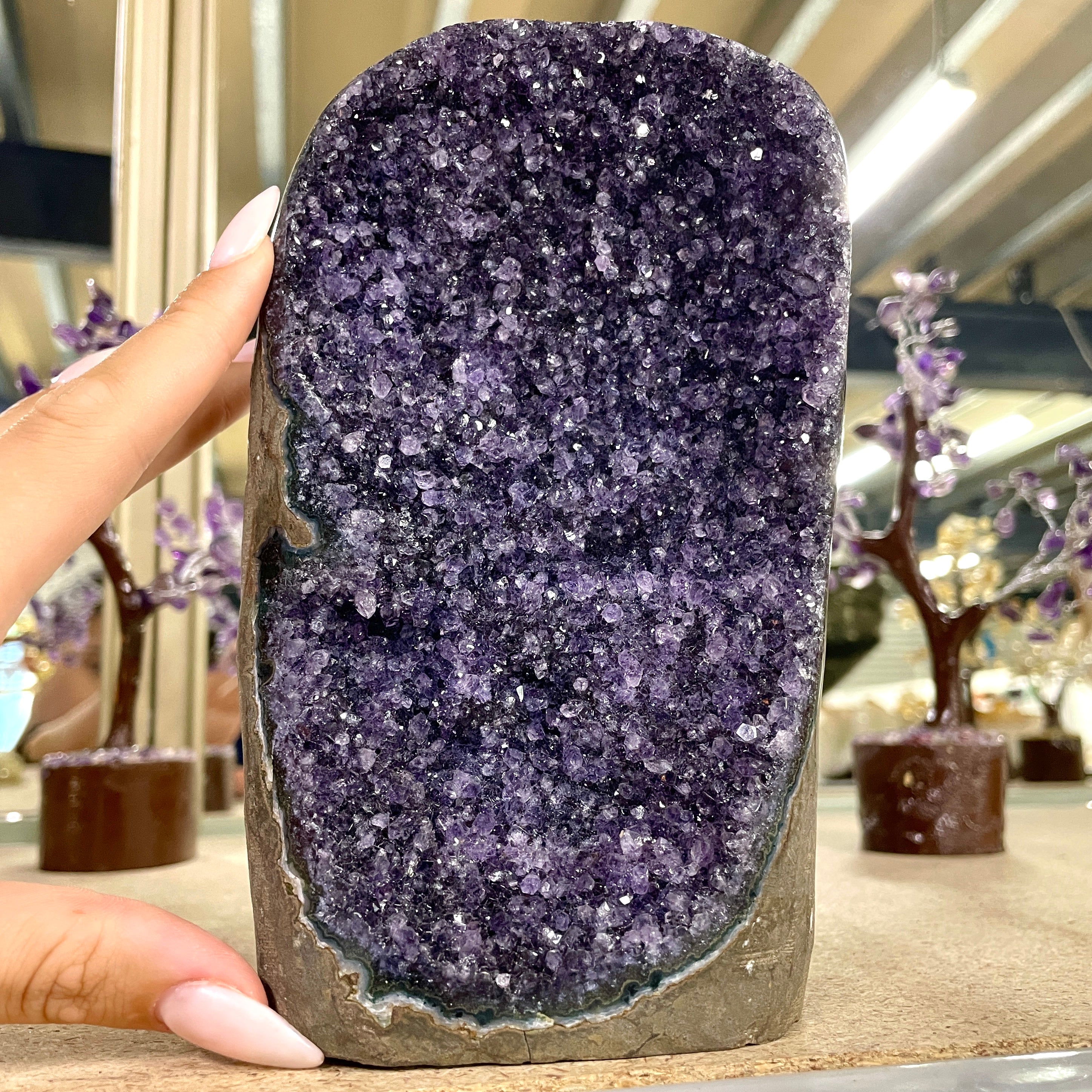 Amethyst - Cut Base Cluster - 75