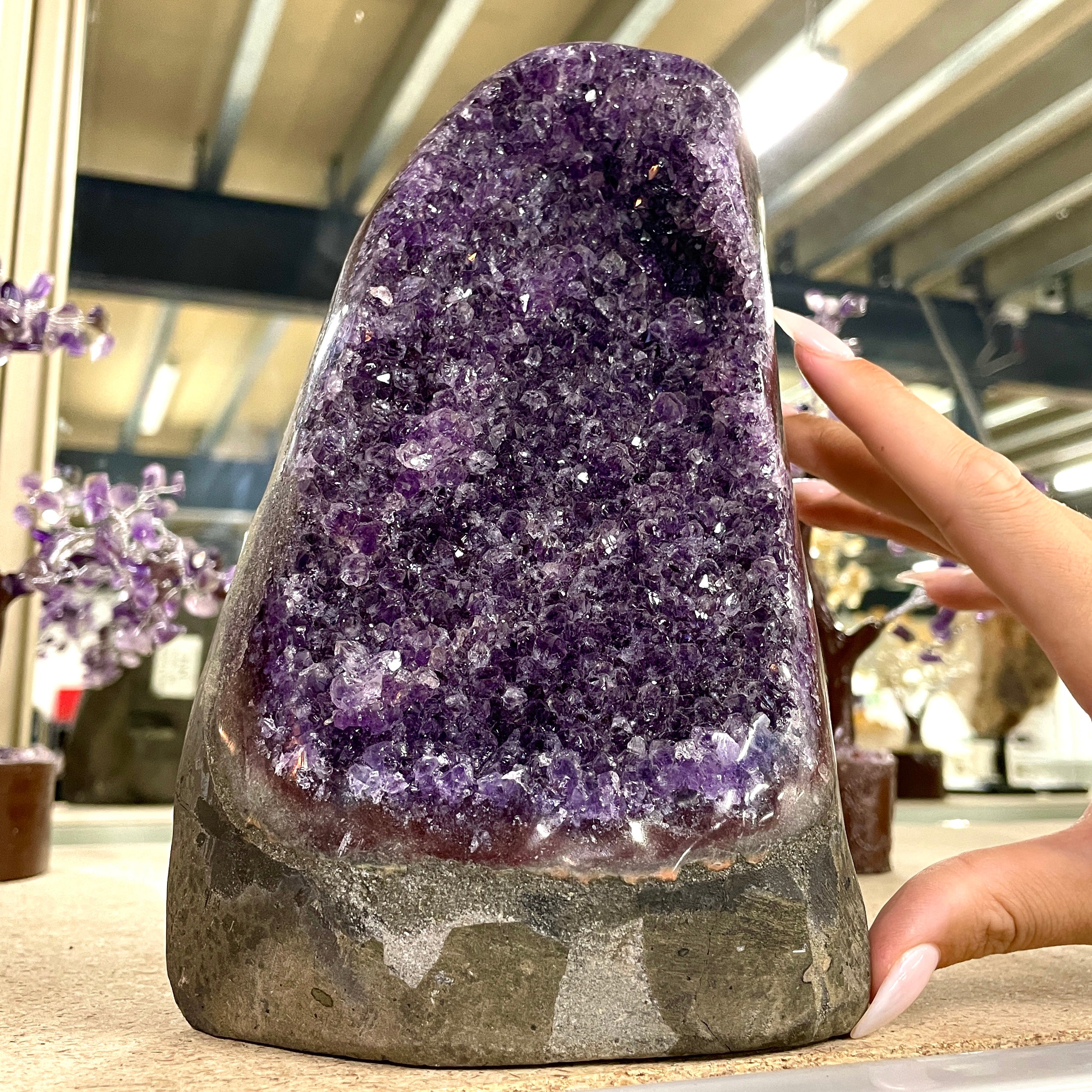 Amethyst - Cut Base Cluster - 84