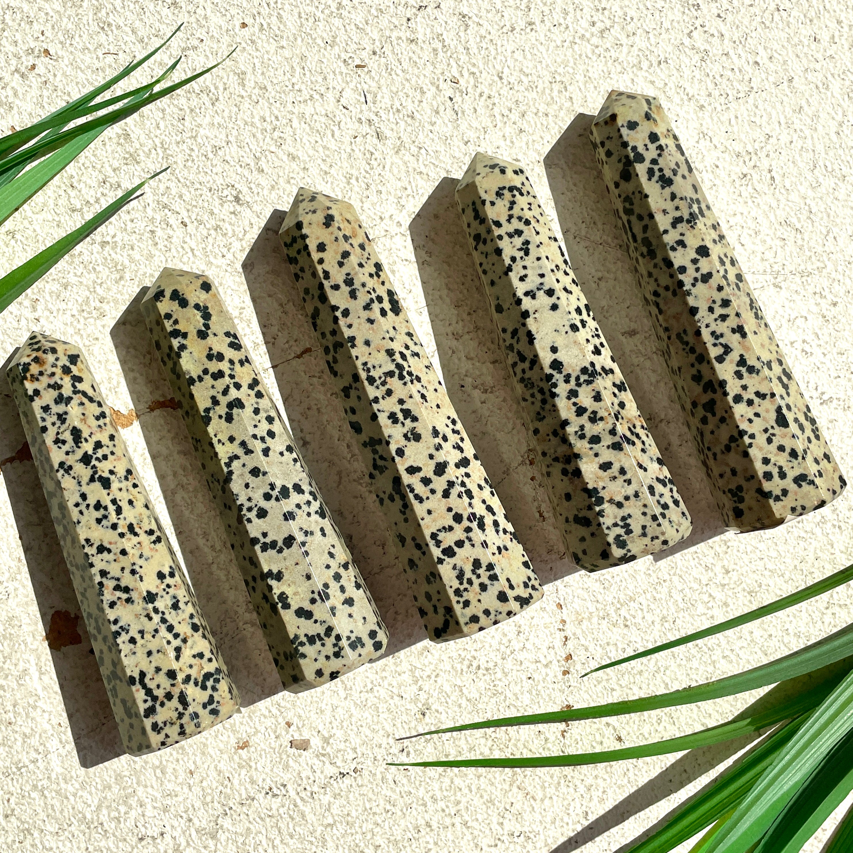 Dalmatian Jasper Generator - 9-10cm