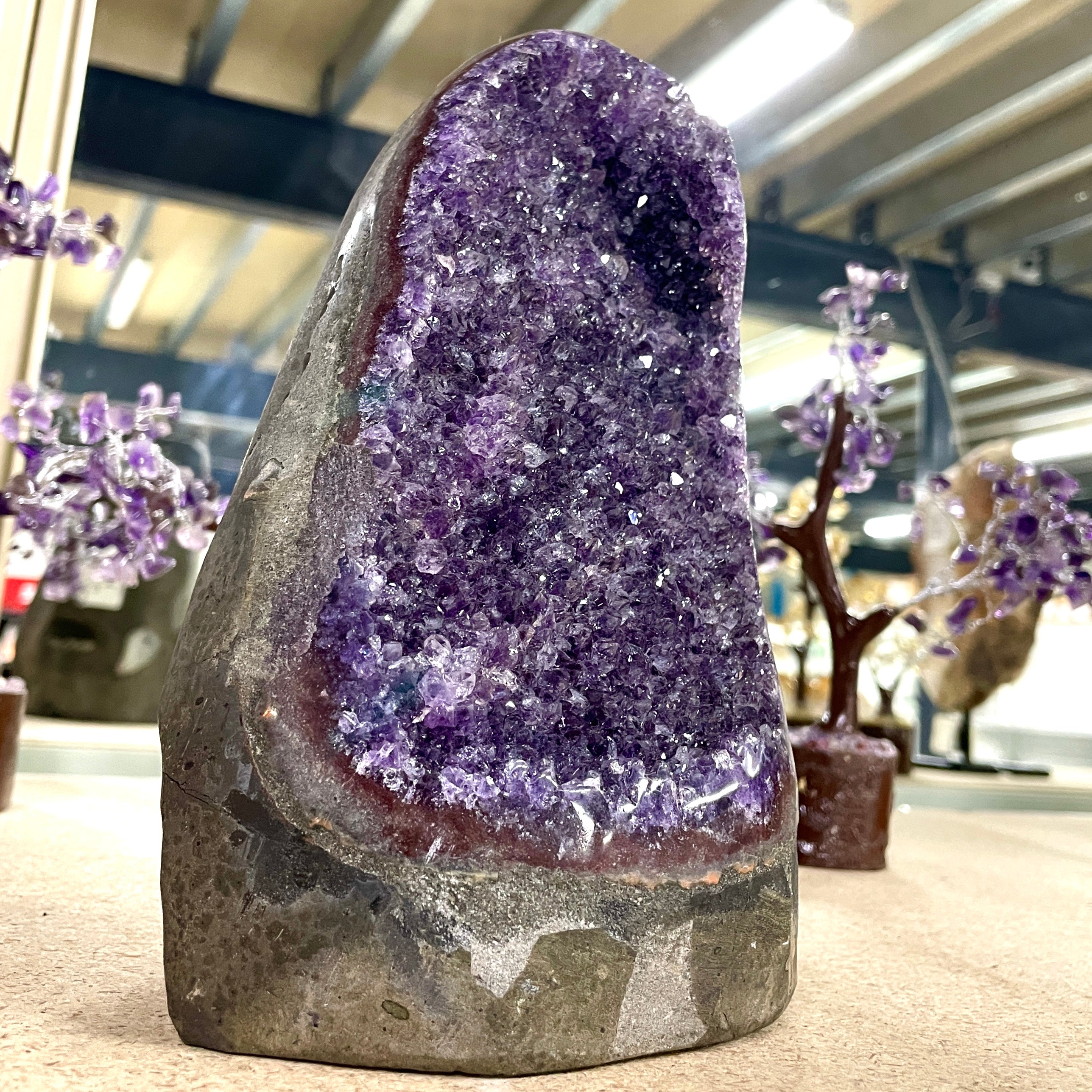 Amethyst - Cut Base Cluster - 84