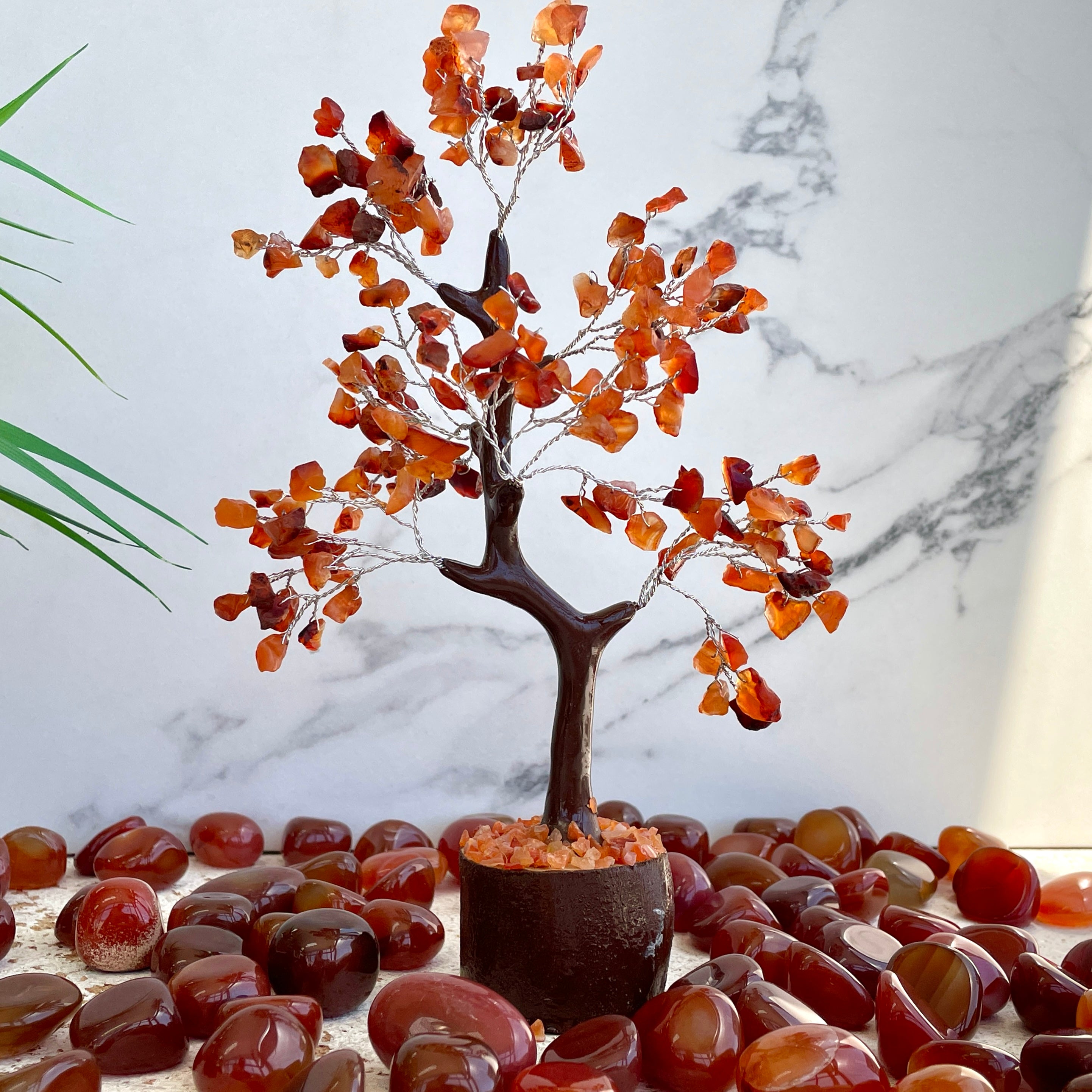 Carnelian Tree - Medium 014