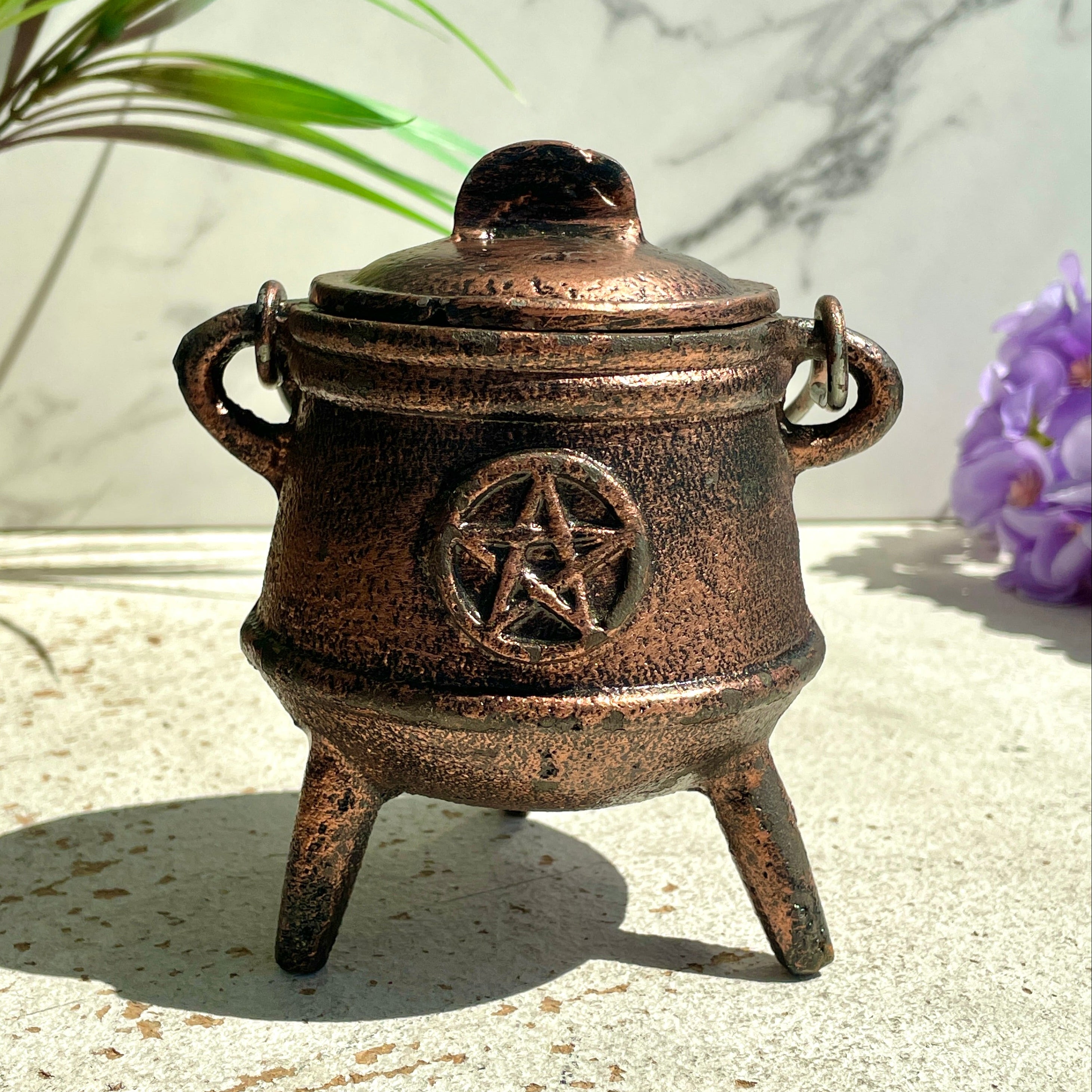 Witch Cauldron Pentagram
