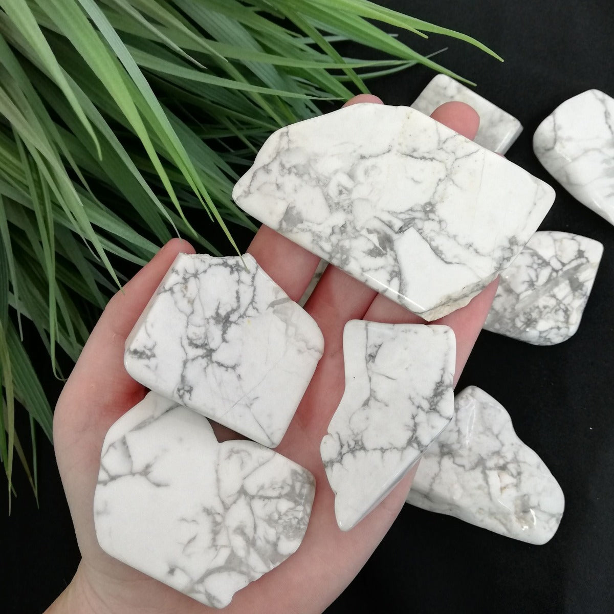 Polished Slabs - Howlite - 500g – Simply Gems