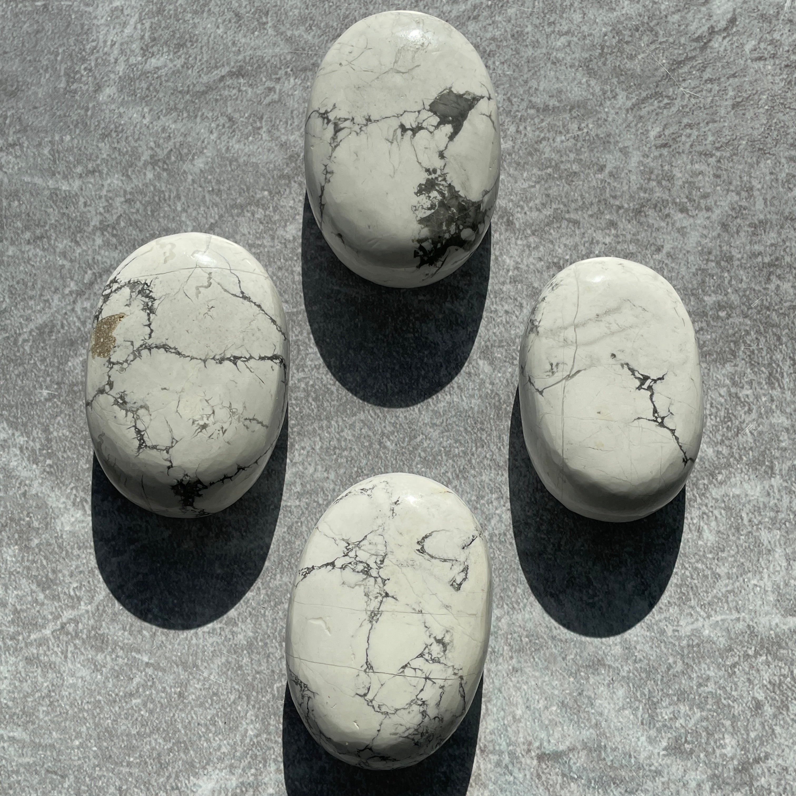 Howlite Palmstone - Large