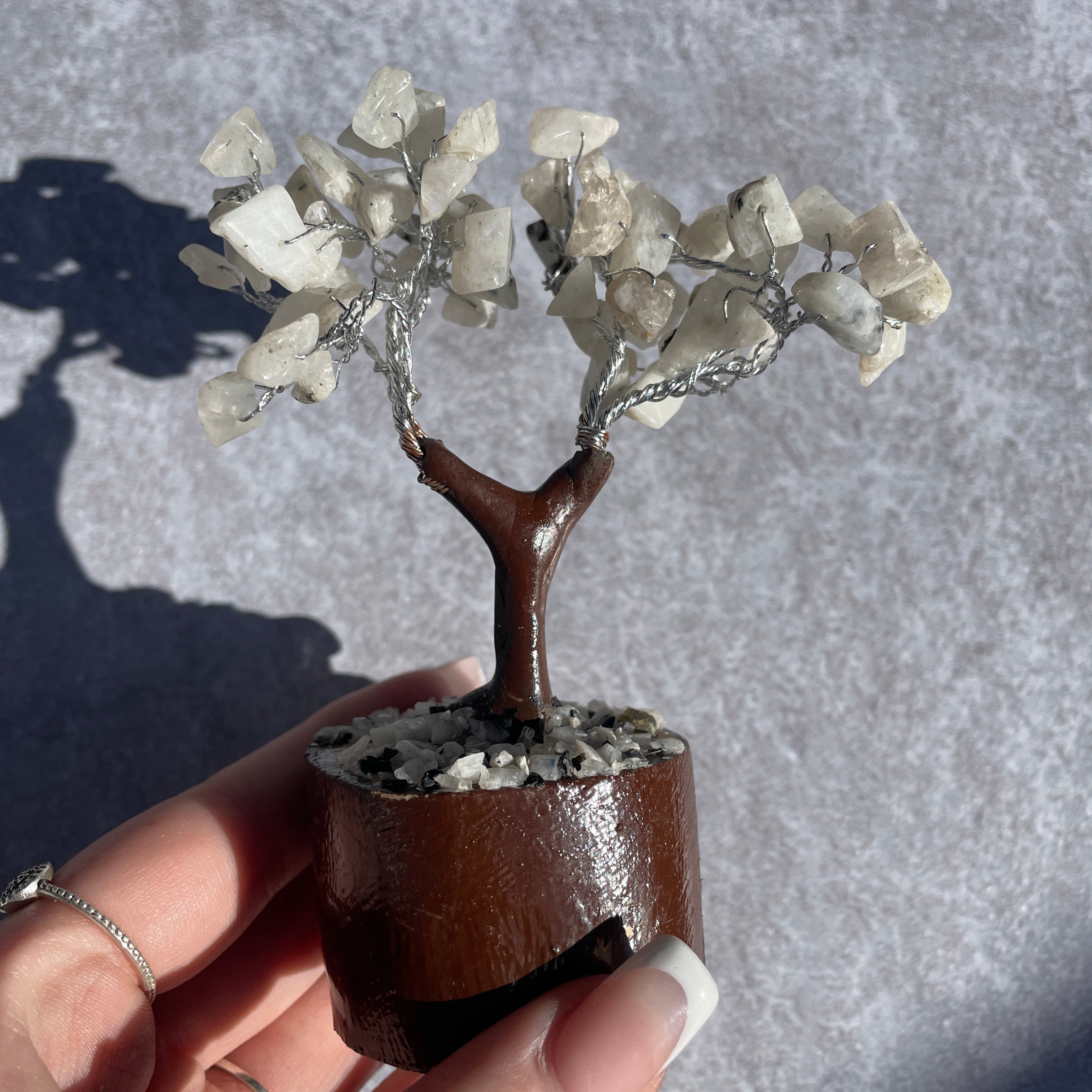 Rainbow Moonstone Tree - Mini