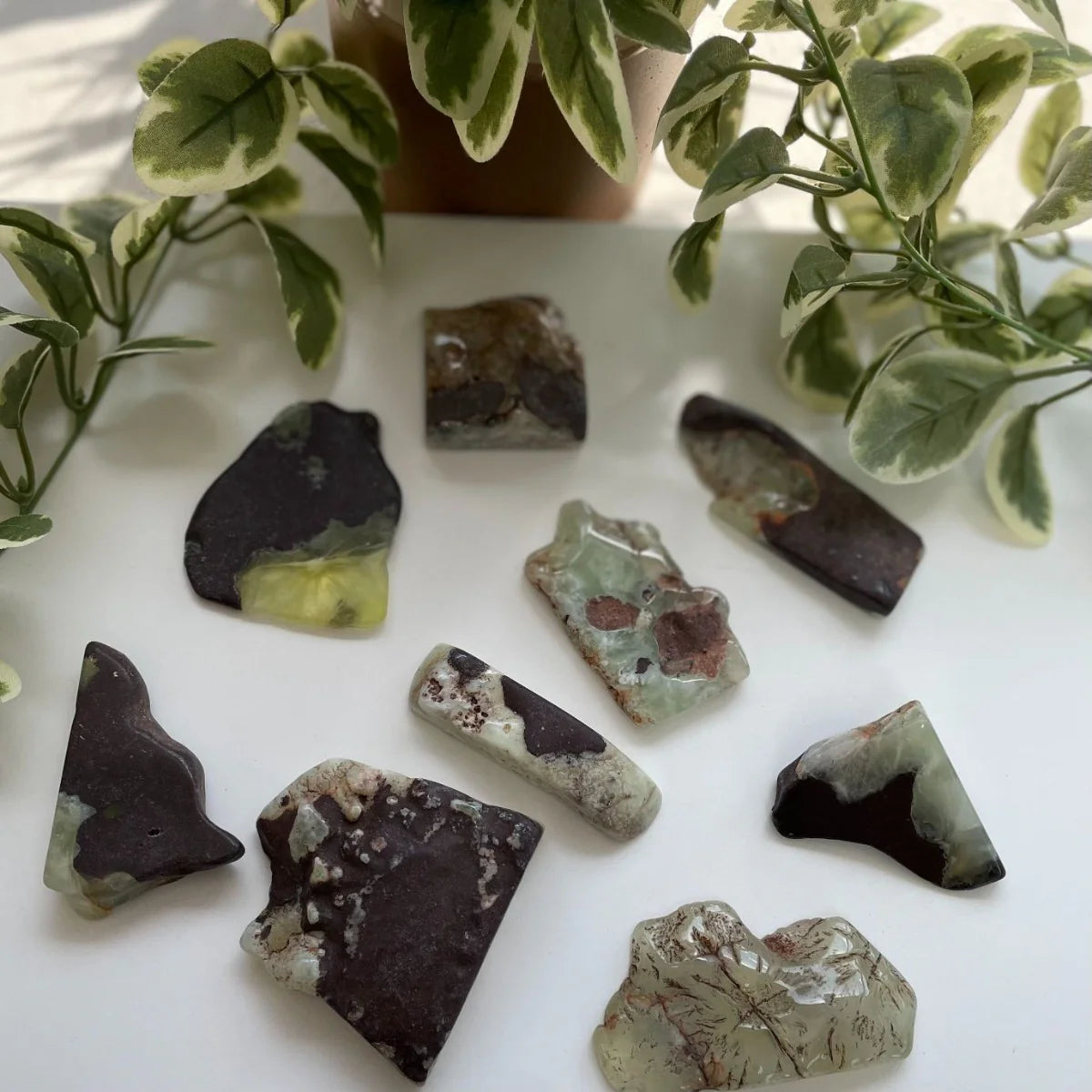 Polished Slab - Epidote in Prehnite 1pc