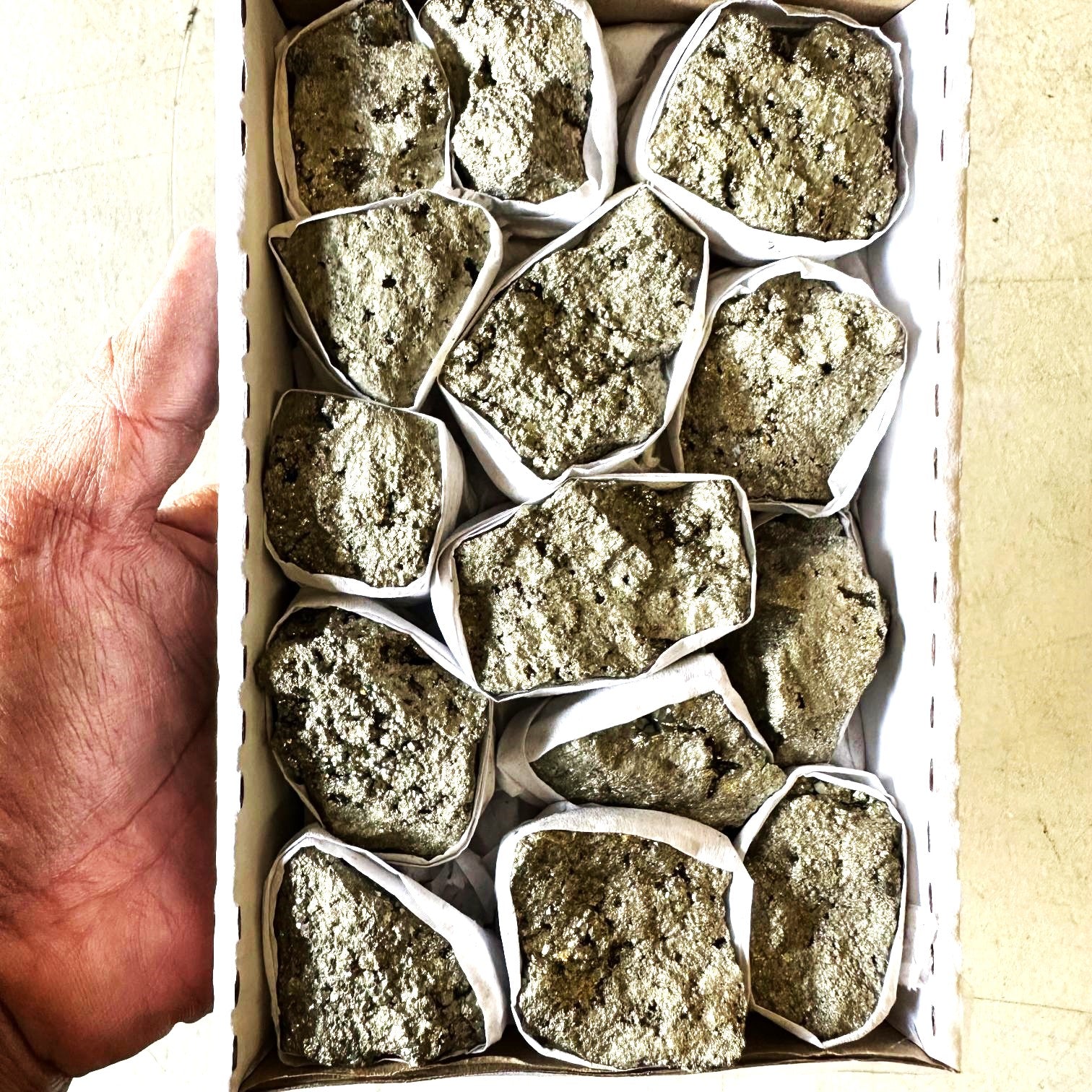 Pyrite Small Rough Pyrite Crystal Rough Tray - Small – Simply Gems