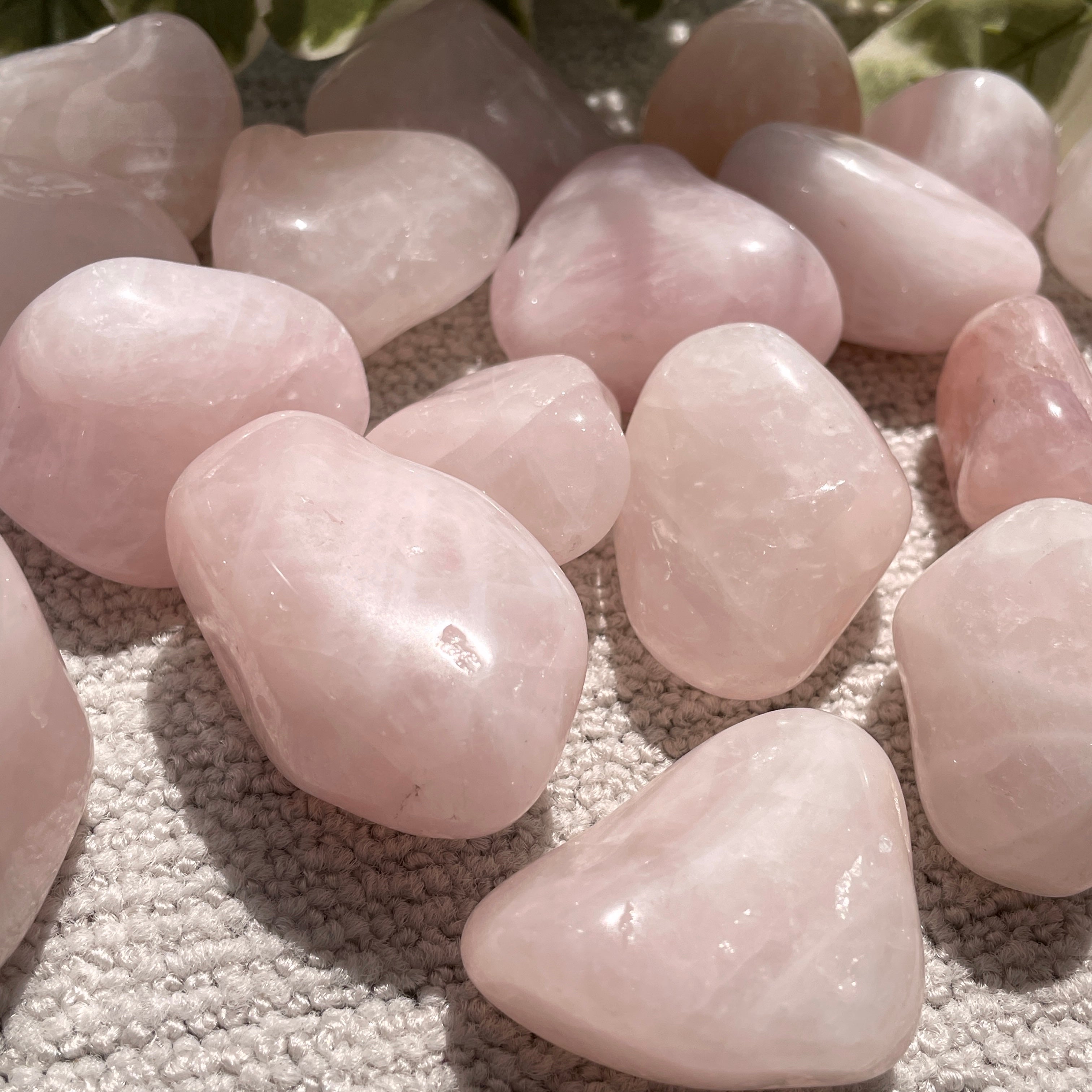 Rose Quartz Tumbled 1KG - QB