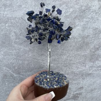 Lapis Lazuli Tree - Medium 012