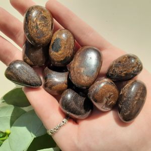 Bronzite Tumbled Stones 250gms