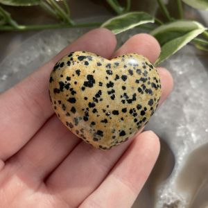 Dalmatian Jasper Heart 4cm